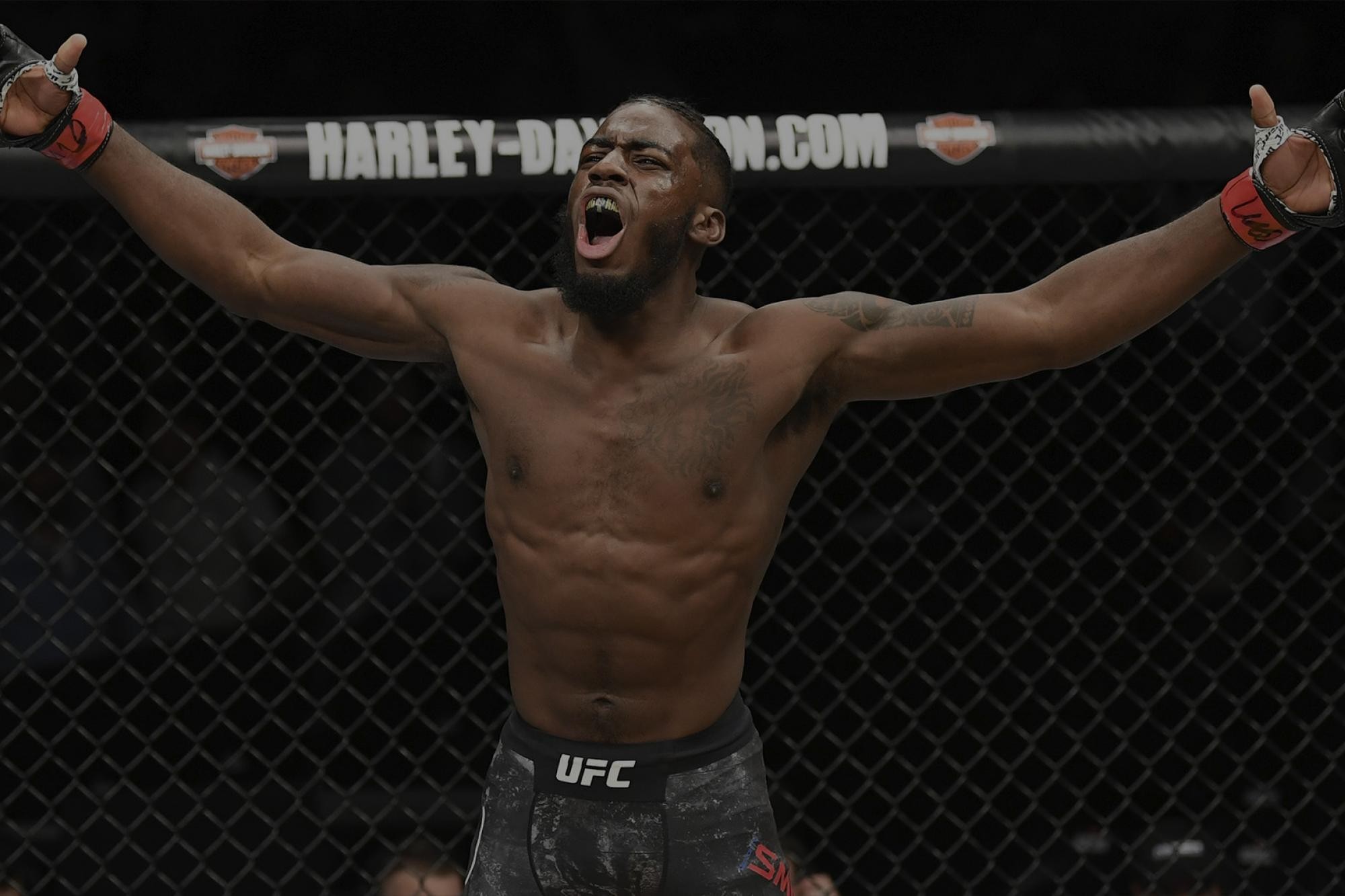 watch ufc 234 online free