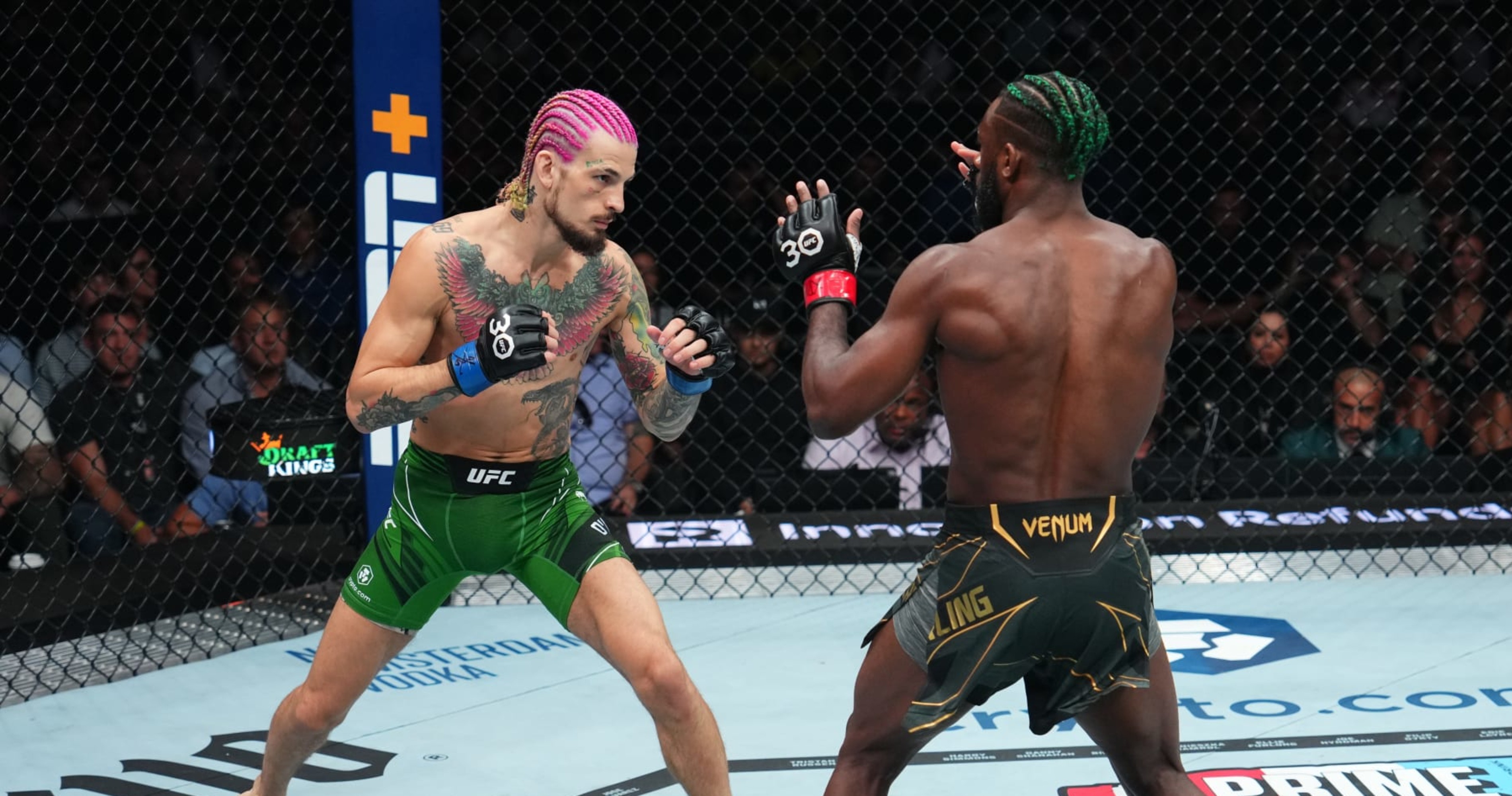 Sean O'Malley Stuns Aljamain Sterling By TKO, Wins Bantamweight Title ...