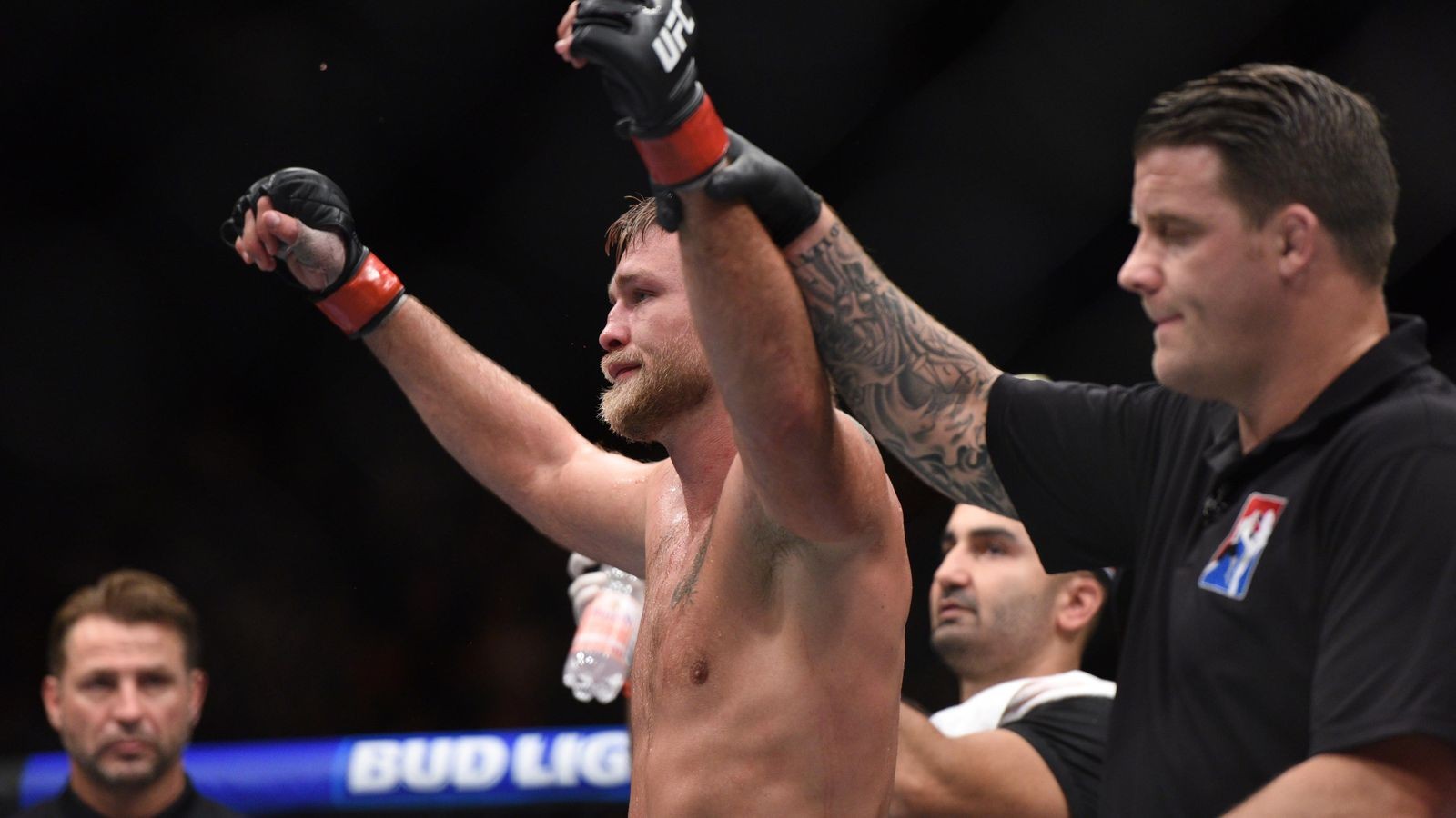 Alexander Gustafsson vs. Glover Teixeira full fight video highlights