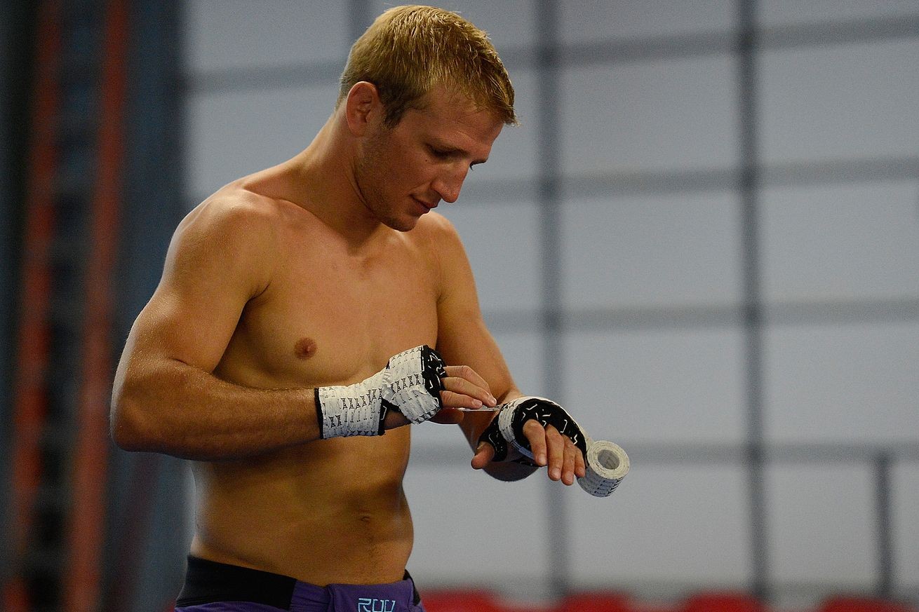 UFC Fight Night Dillashaw vs. Cruz fight card