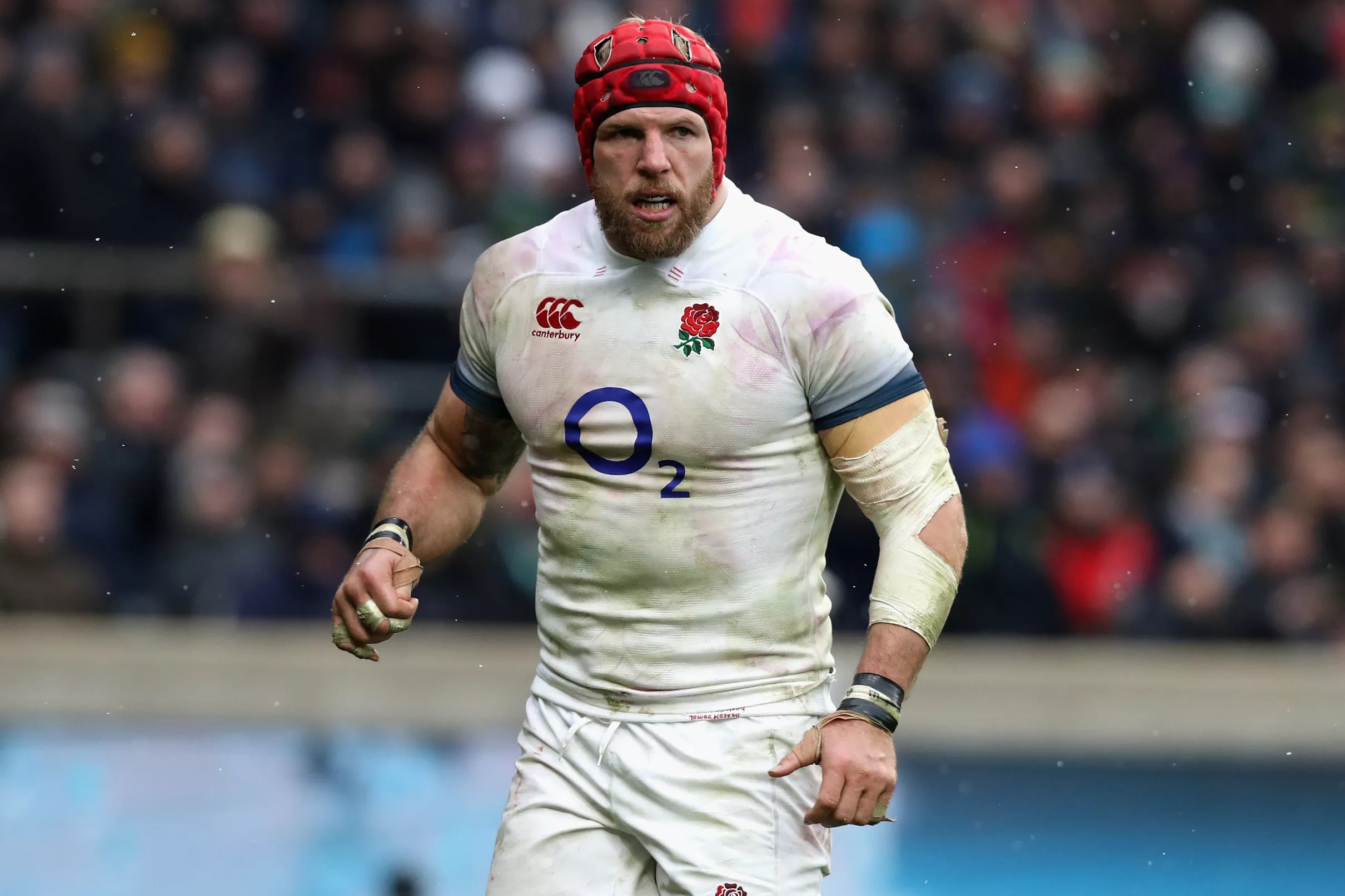 former-england-rugby-international-james-haskell-joins-bellator-as-a