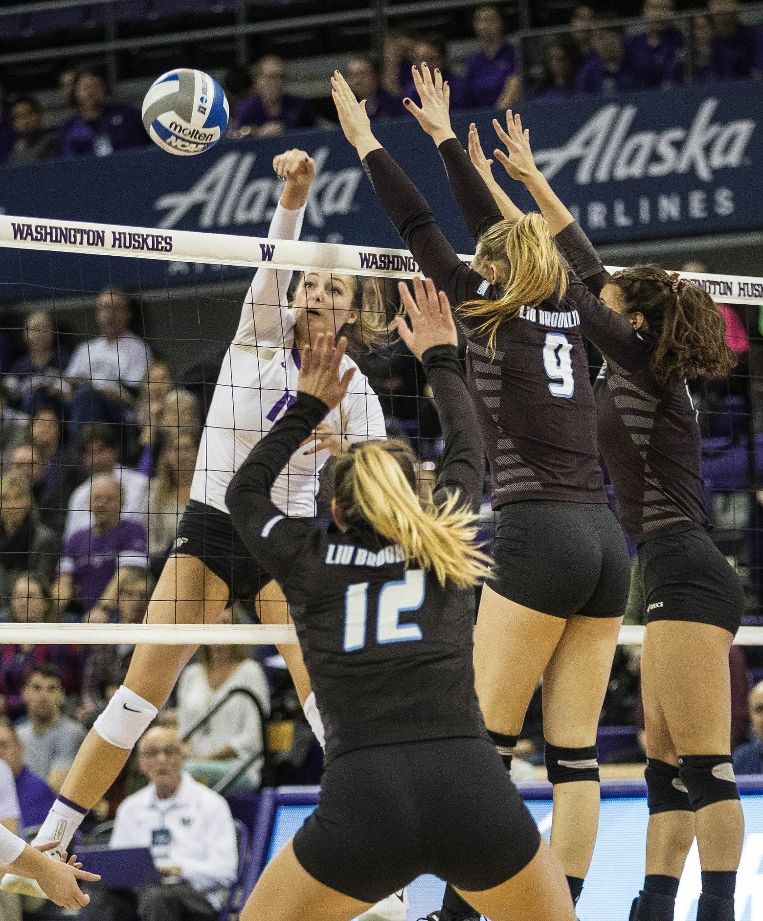 Huskies advance in NCAA volleyball tournament with little drama in home