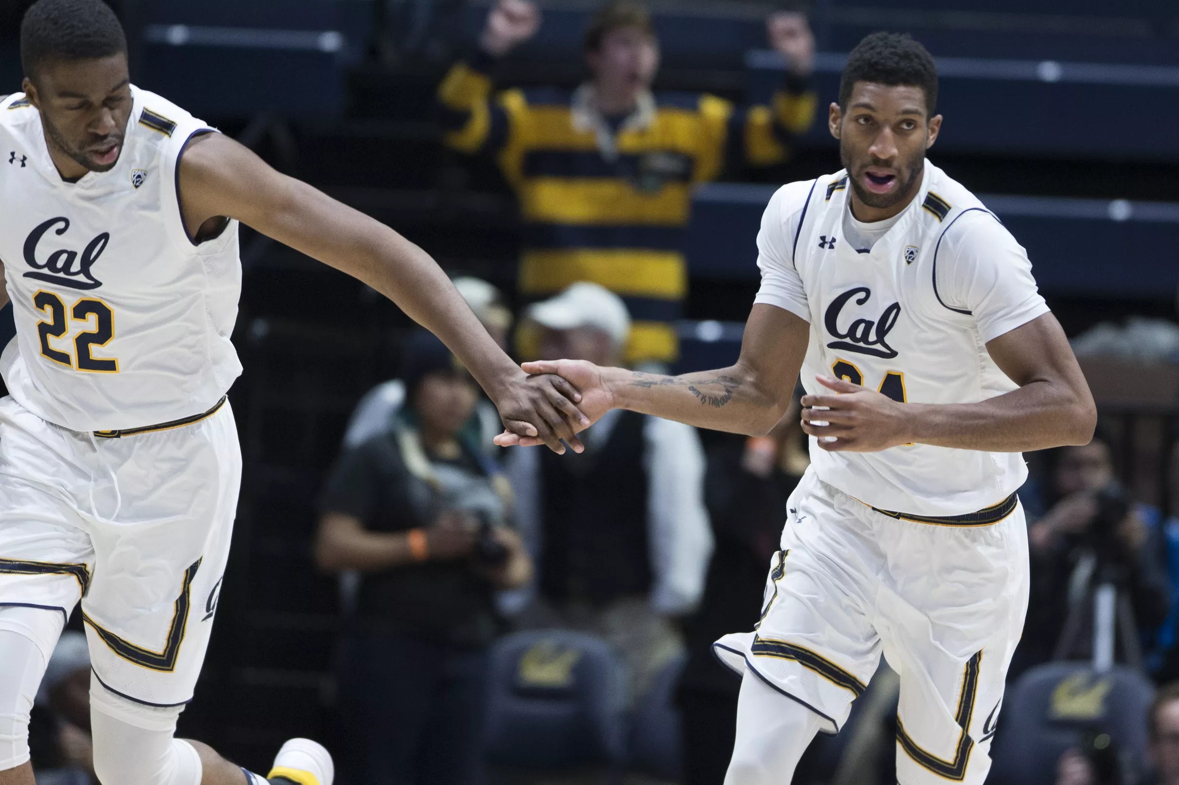 cal-golden-bears-game-preview-open-thread