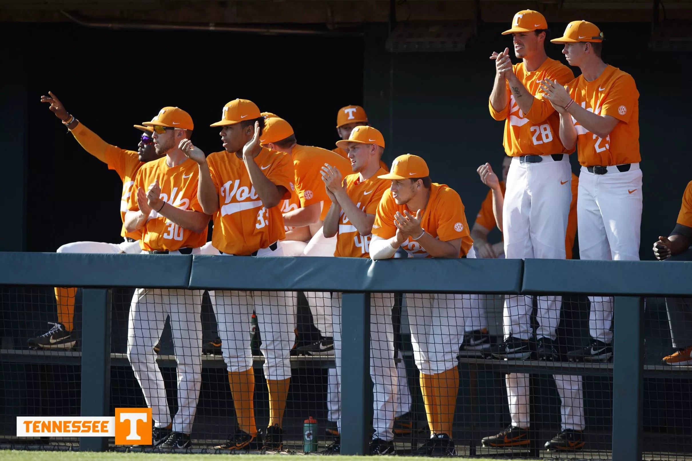 UNC Greensboro Beats Vols in Series Finale