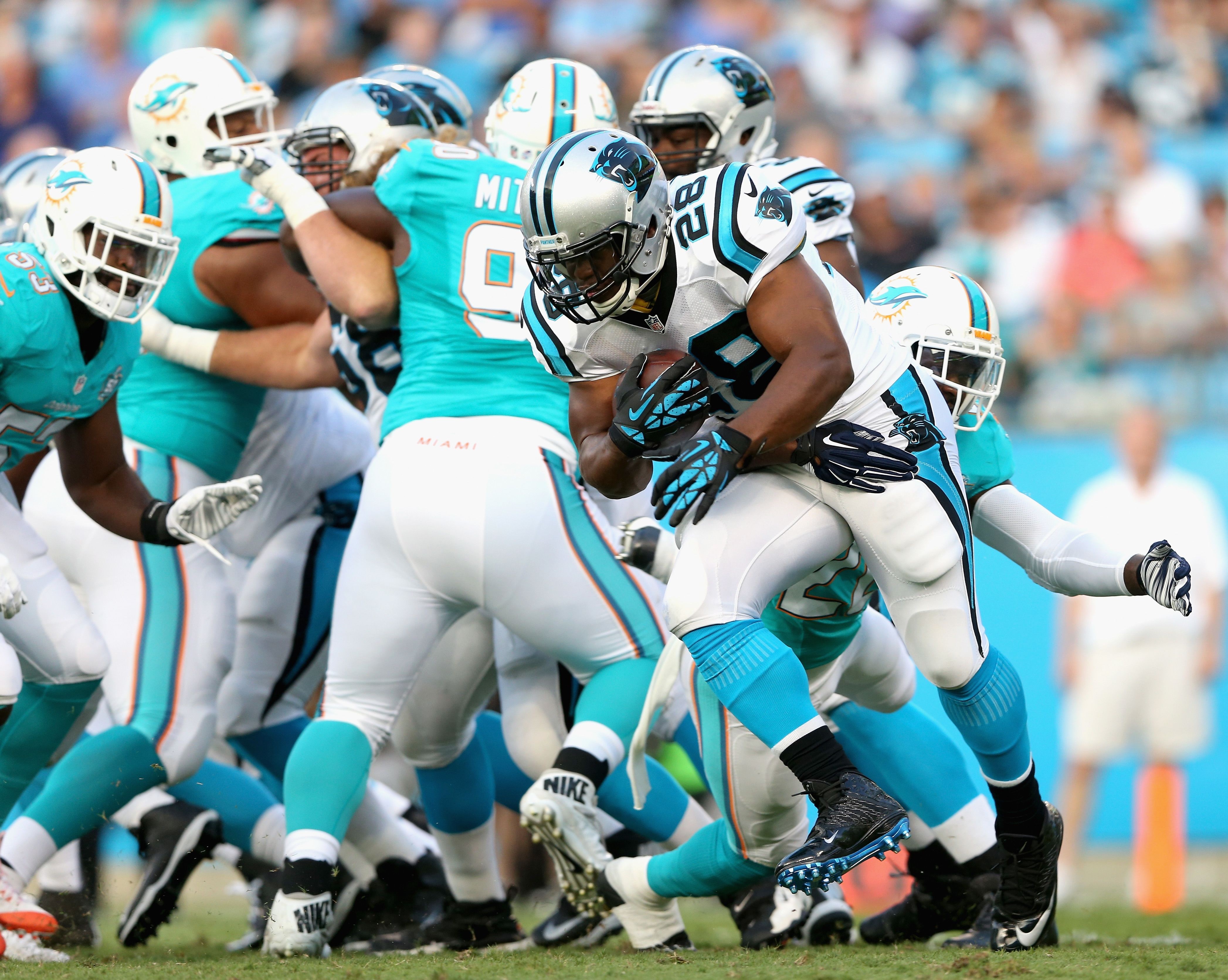 Panthers vs. Dolphins: Expert picks for Week 10