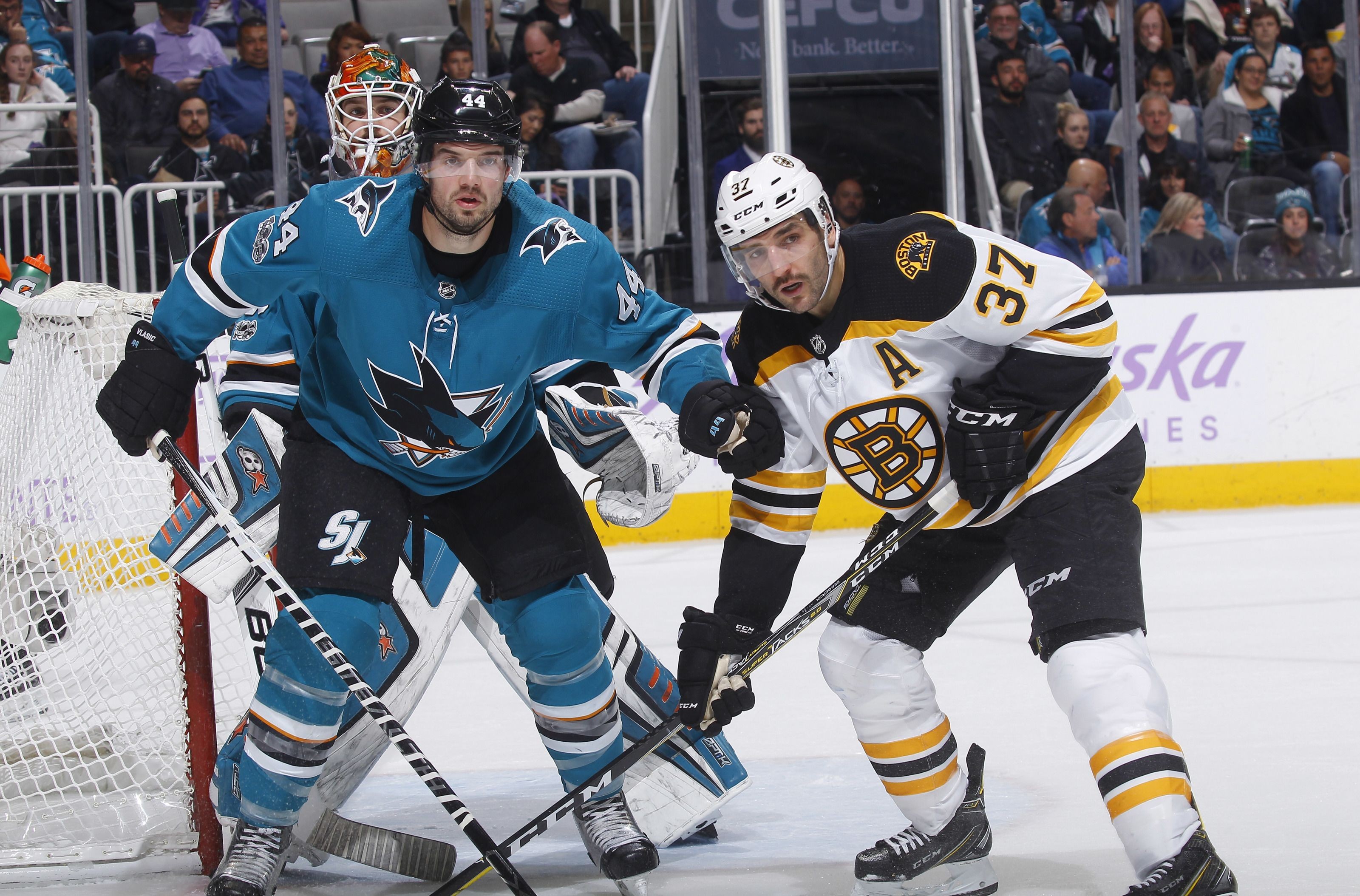 Game Preview Bruins Look To Extend Point Streak Against Sharks