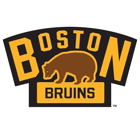 Boston Bruins Winter Classic logo . . . an oldie!