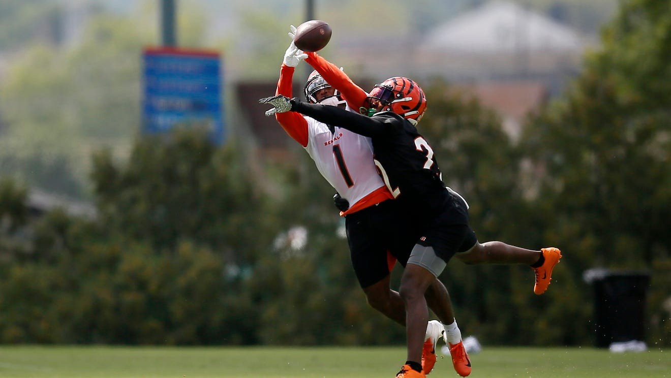 Bengals' wide receivers Tee Higgins, Tyler Boyd guiding rookie Ja