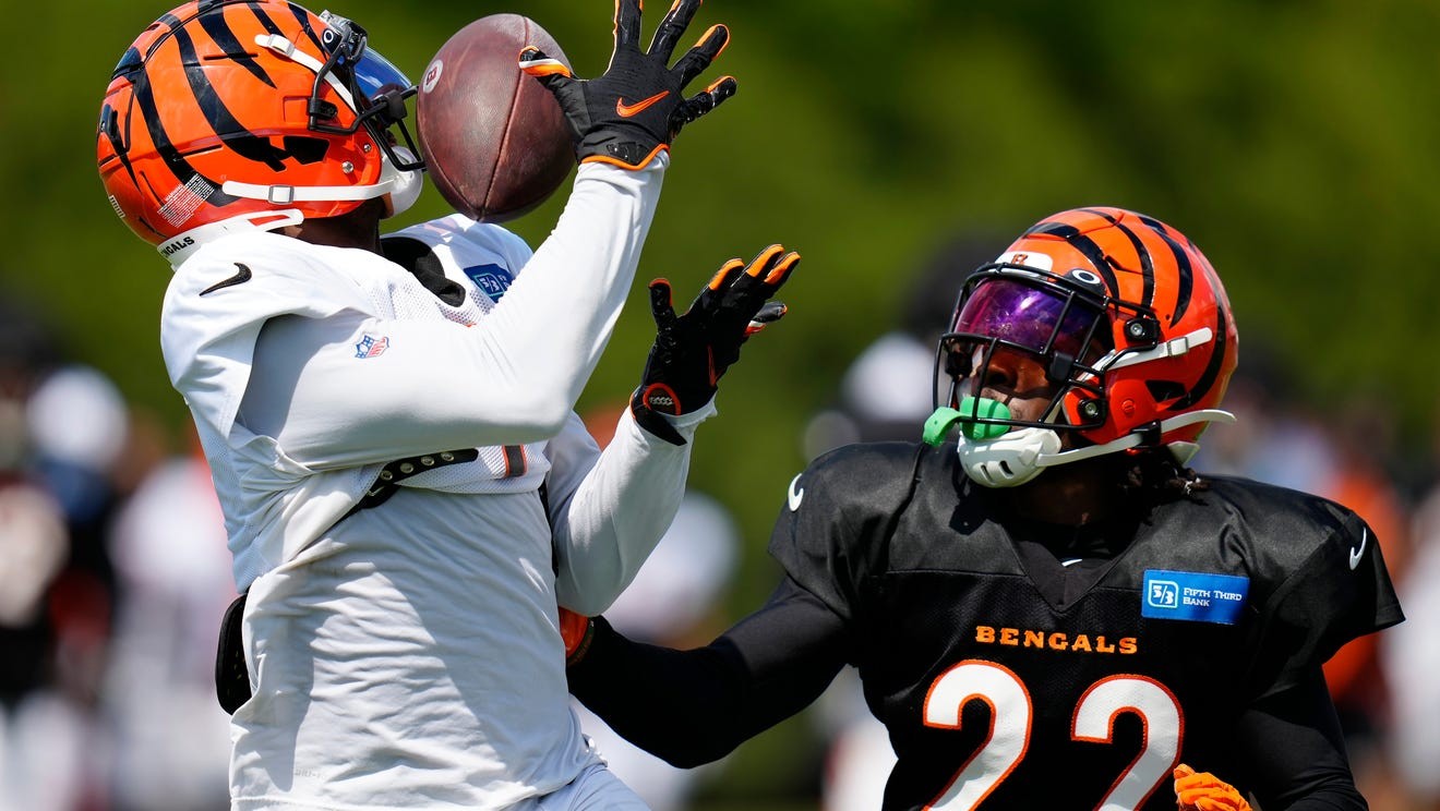 Bengals rookie Cordell Volson has proven that he is worthy of starting job