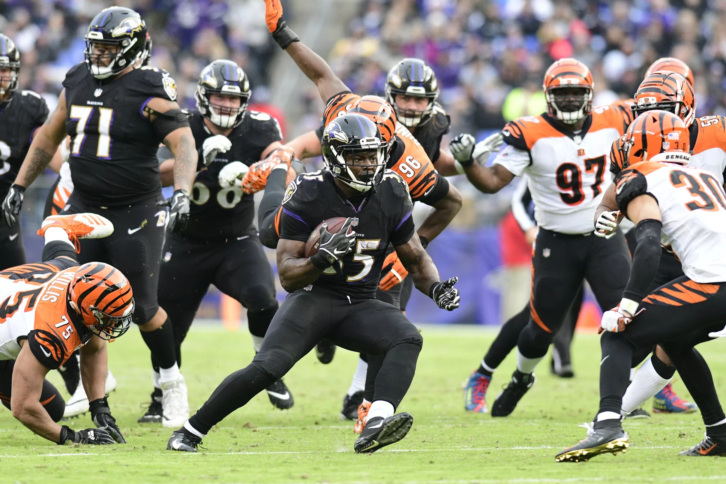Bengals Record History