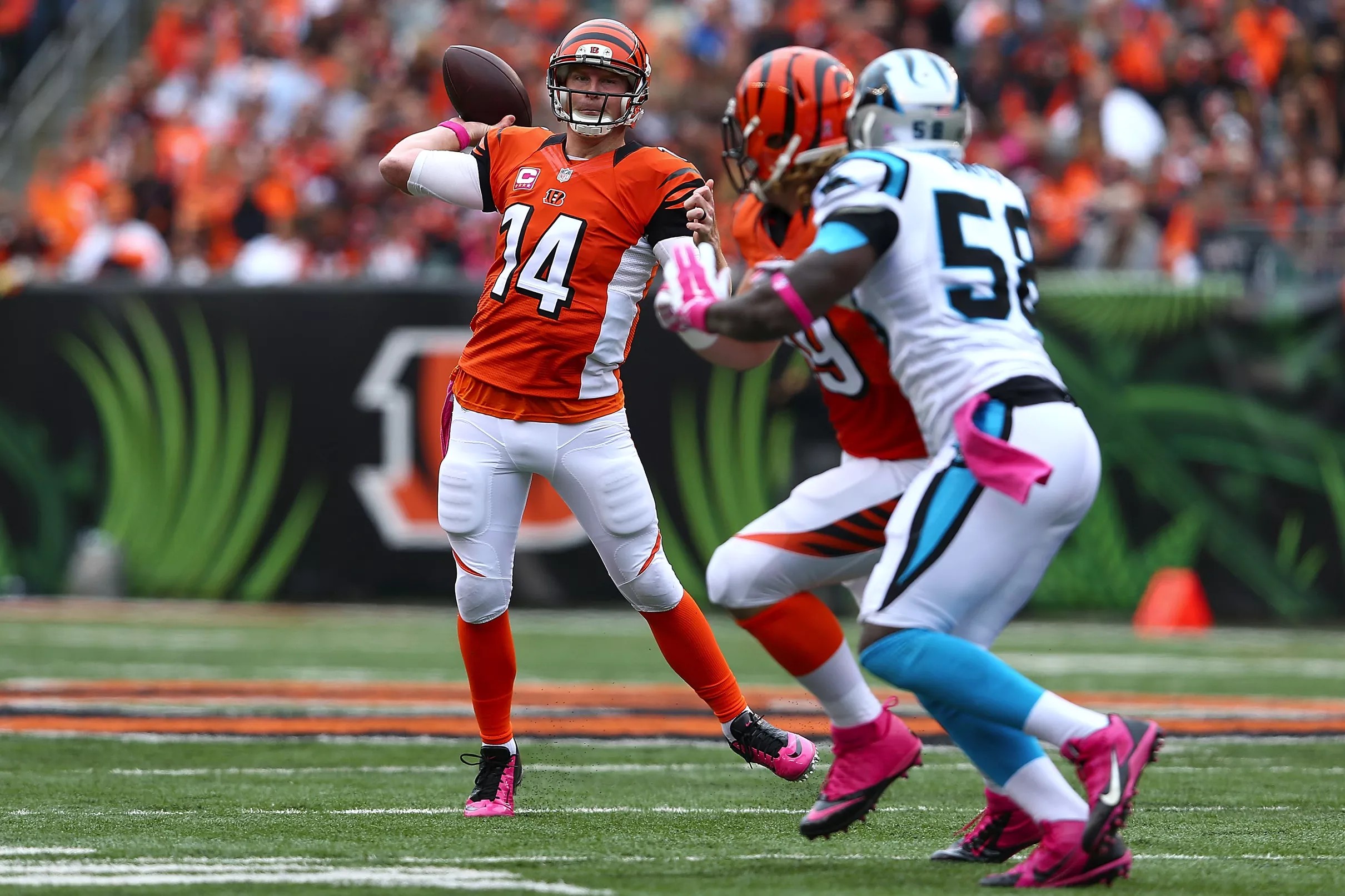 Panthers Vs. Bengals: Game Time, TV Schedule, Online Stream, Odds ...