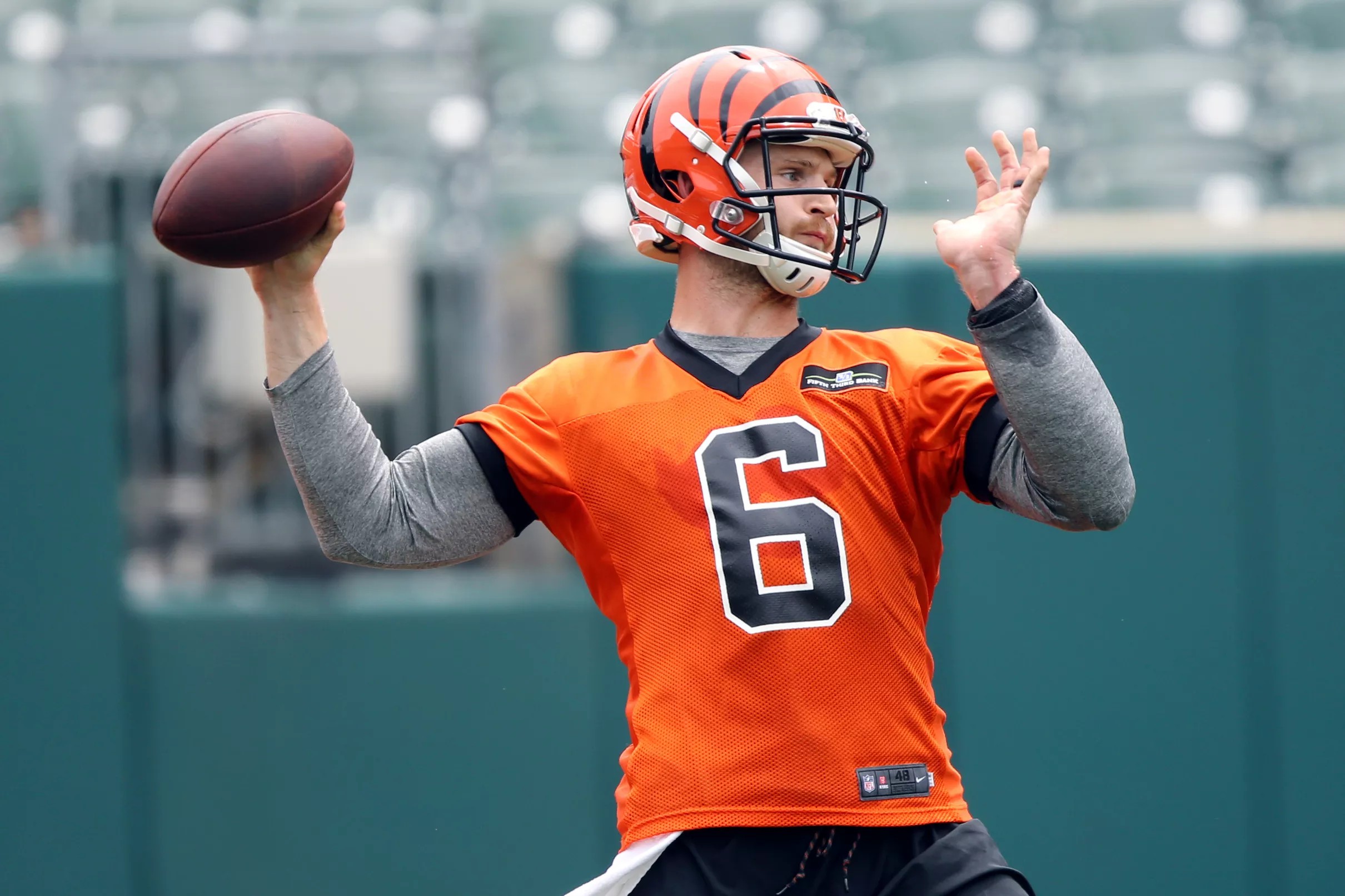 Who is the backup quarterback for the Bengals?