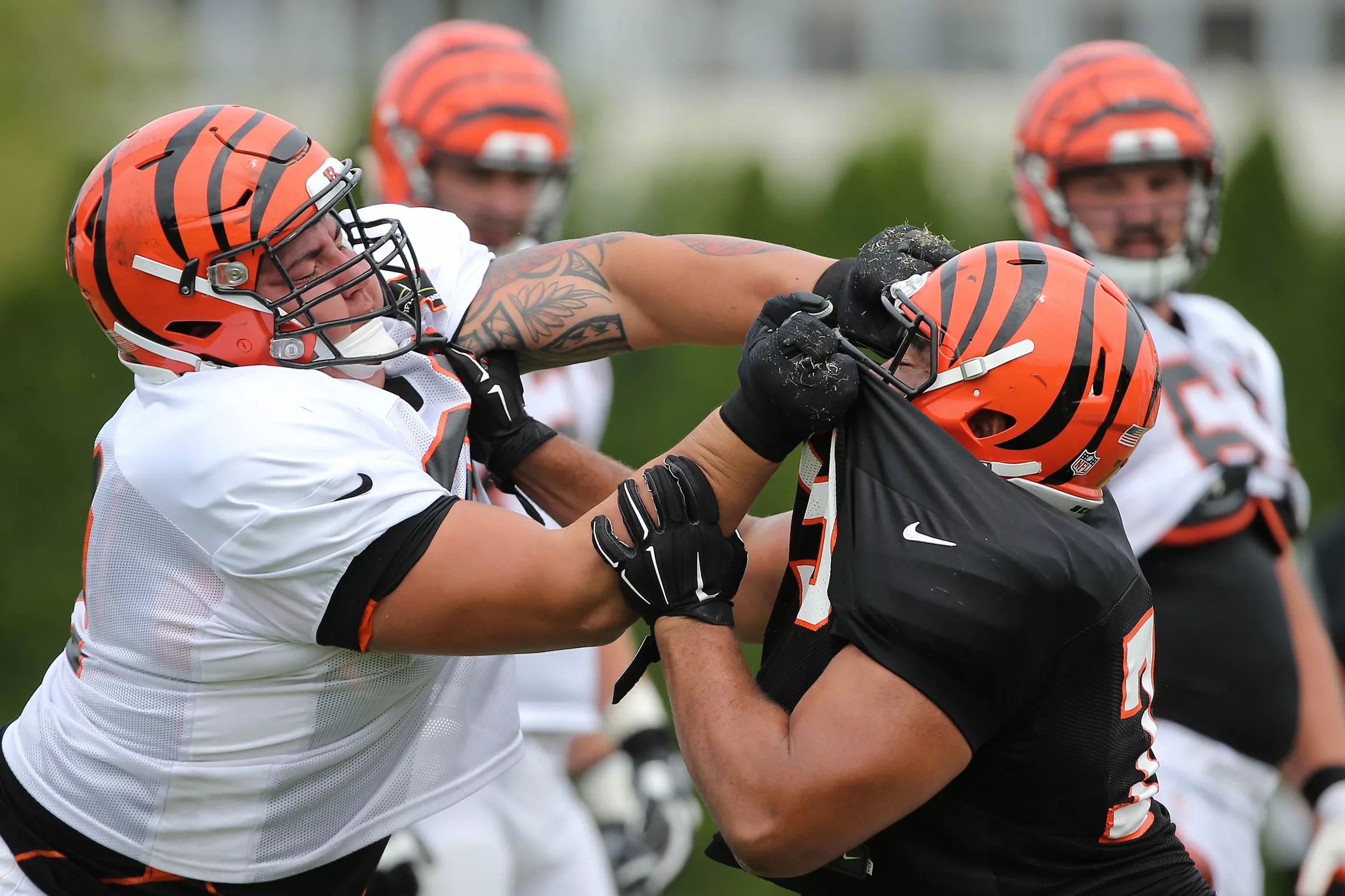 Bengals training camp preview Part 1 Offensive line battles