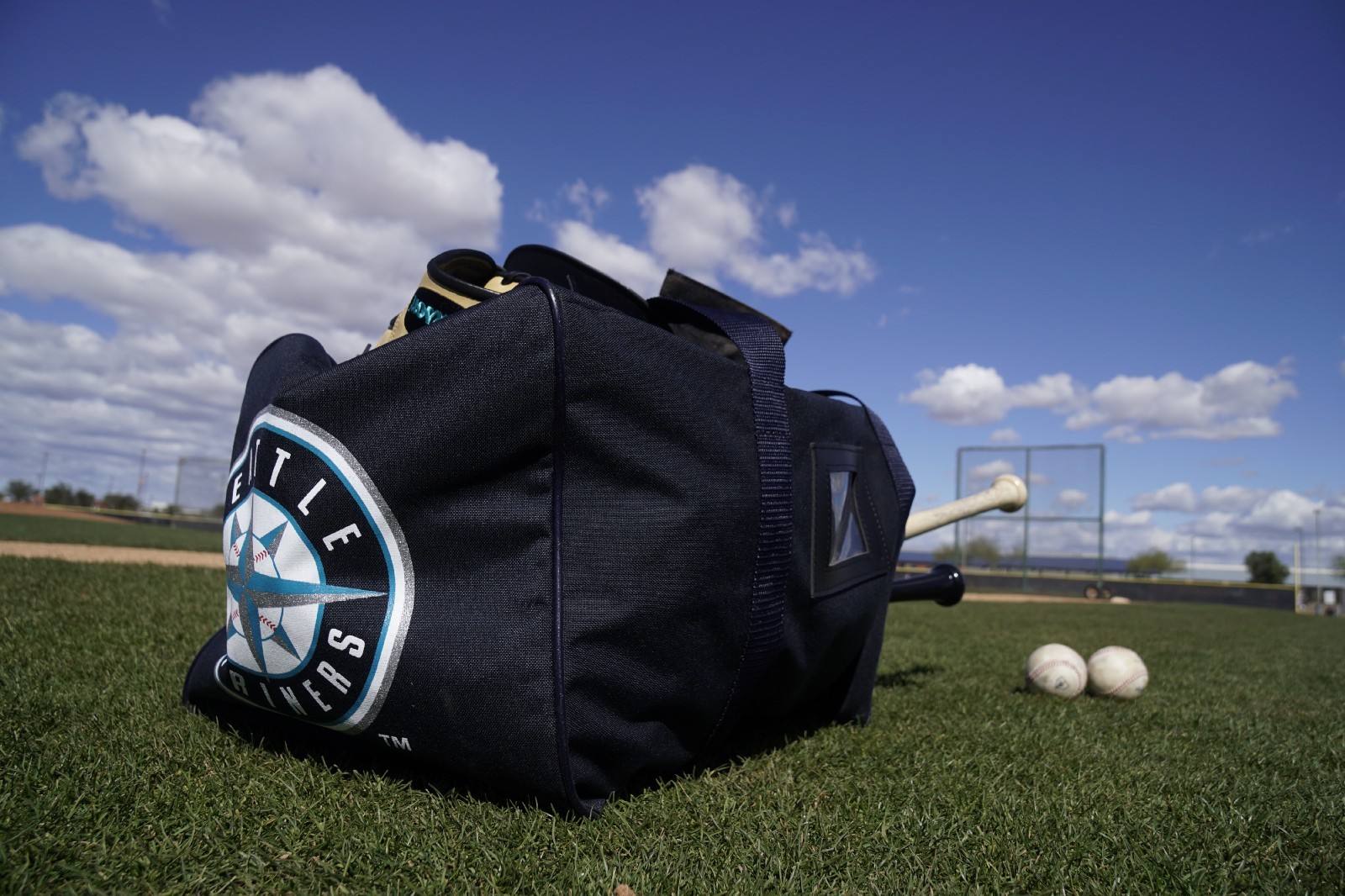 Mariners Spring Training Roster Moves — March 7, 2019