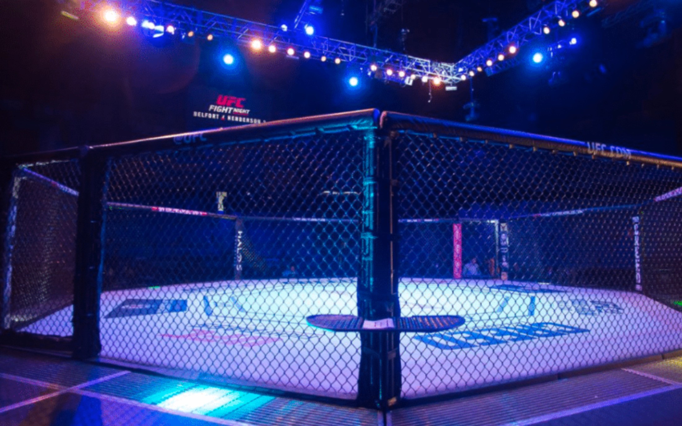 Outlandish MMA Predictions for 2024