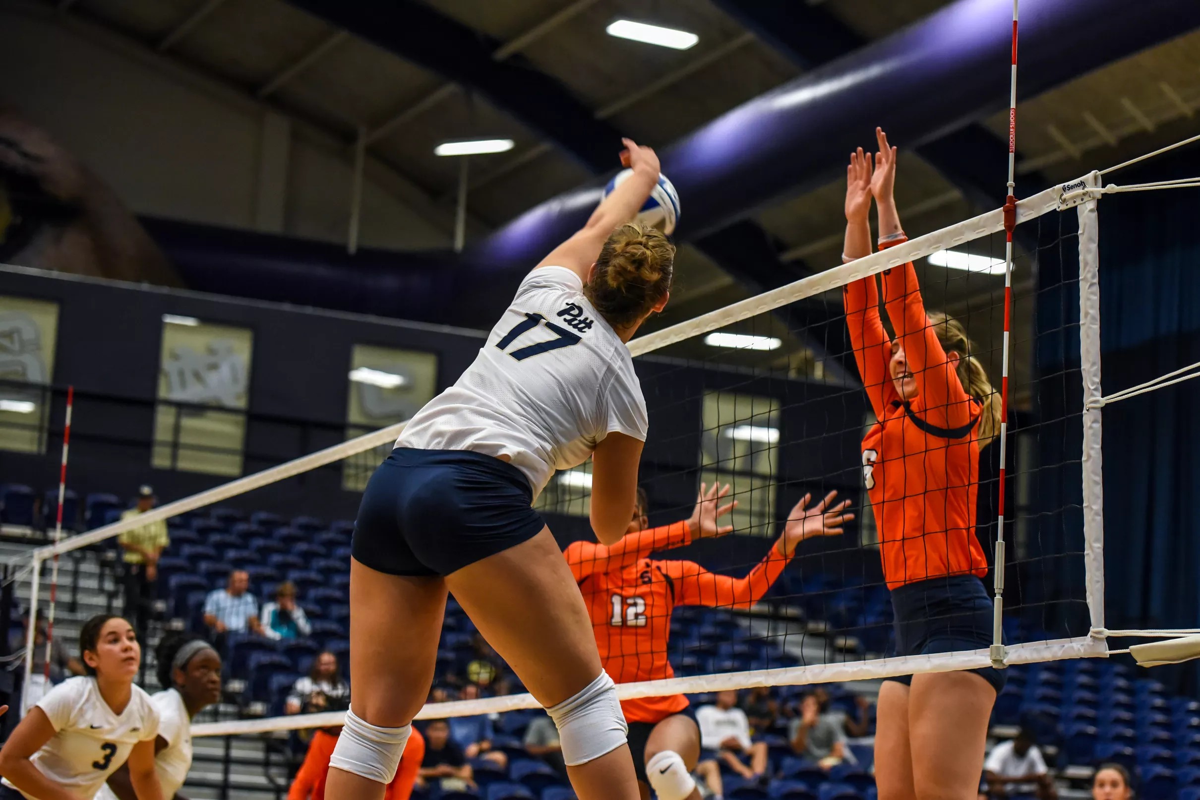 Pitt volleyball earns more votes in Top 25 poll