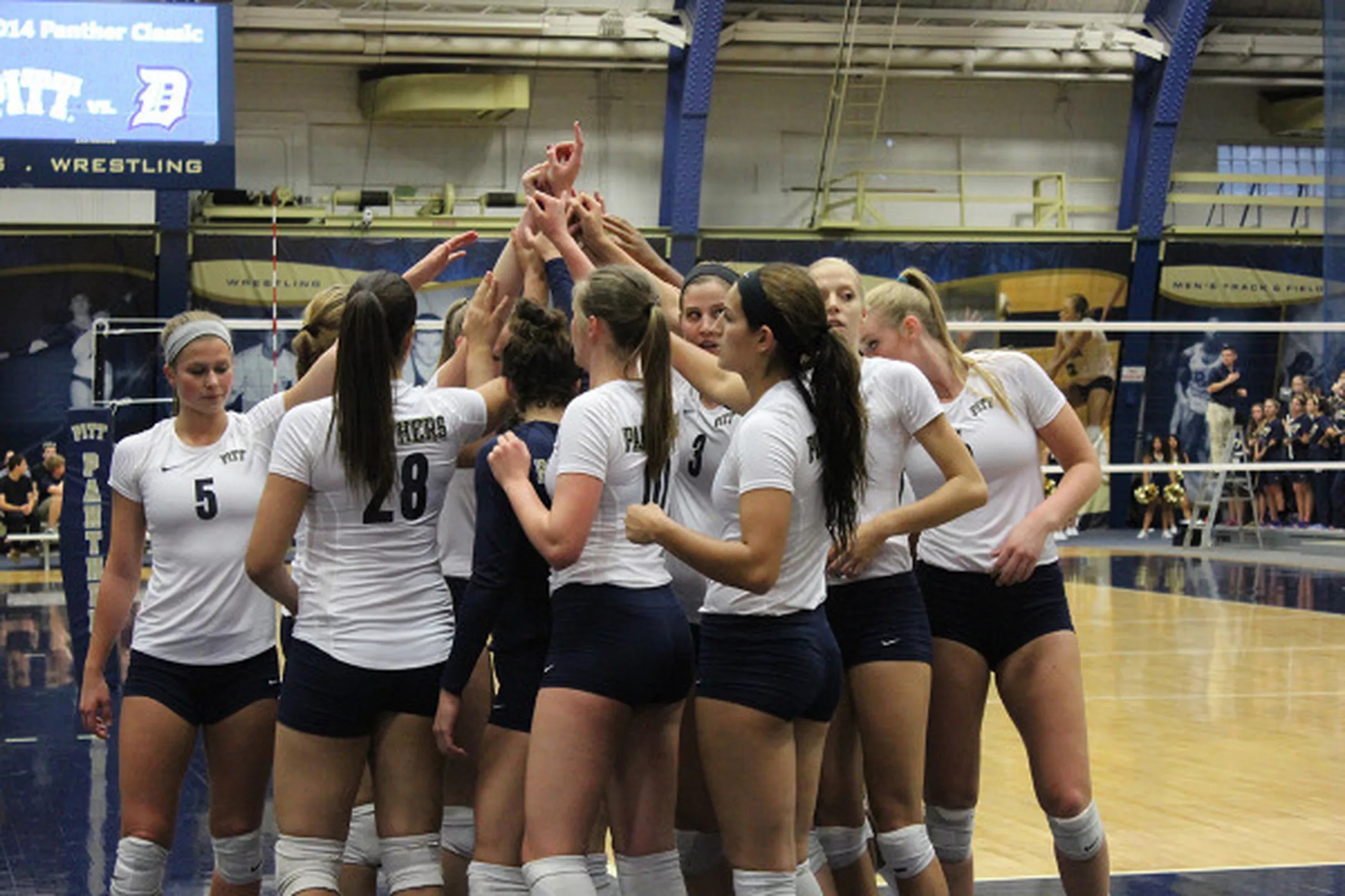 Pitt Volleyball Defeats Miami For Tenth Straight Win