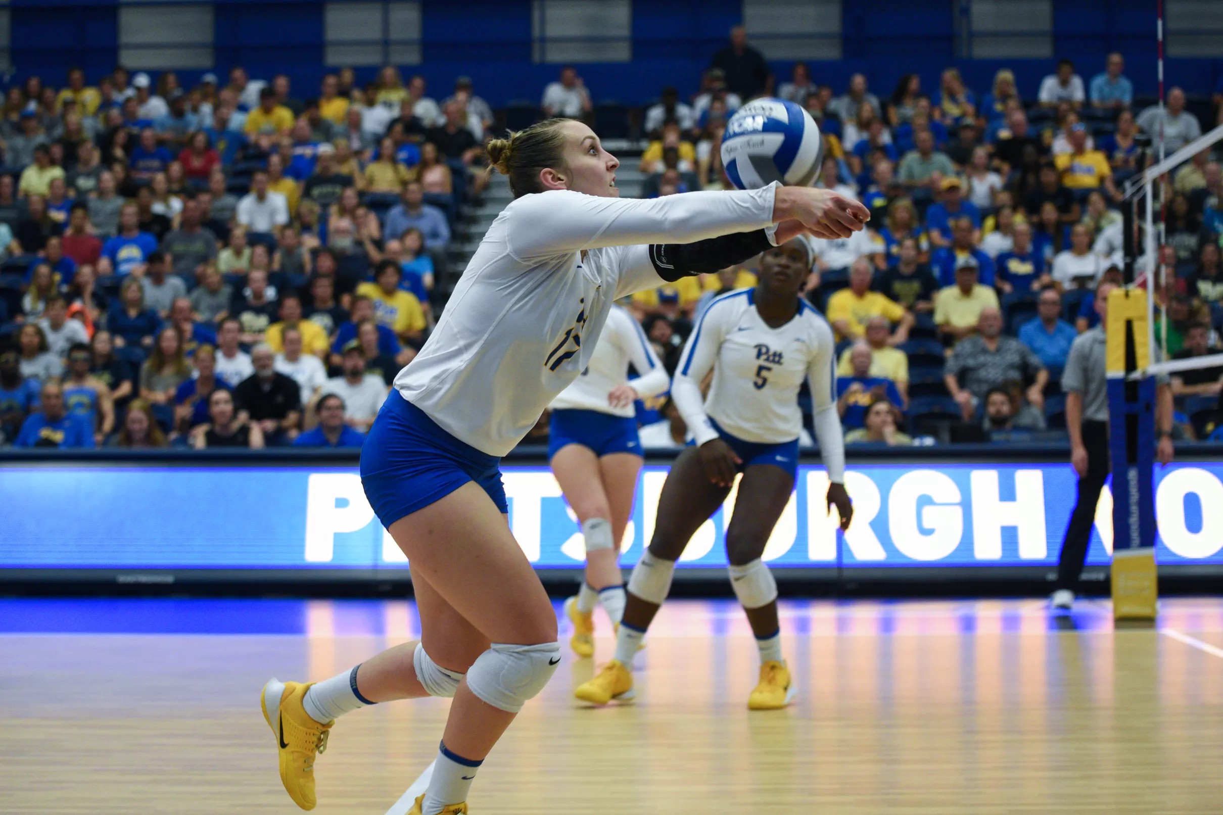 No. 6 Pitt Volleyball Suffers First Loss Of The Season To No. 4 Penn State