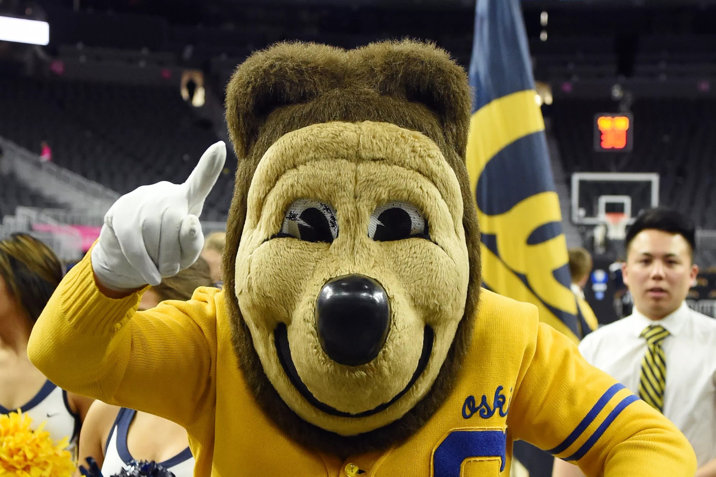 Cal Baseball makes the NCAA Tournament—Watch the team’s reaction!