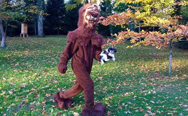 Gisele and Tom Brady Dress Up As Avocado Toast for Halloween