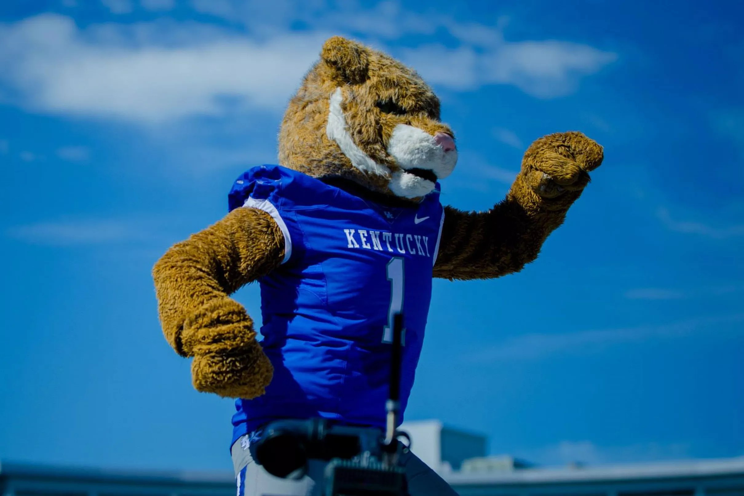 Wildcats open as underdogs in the Belk Bowl