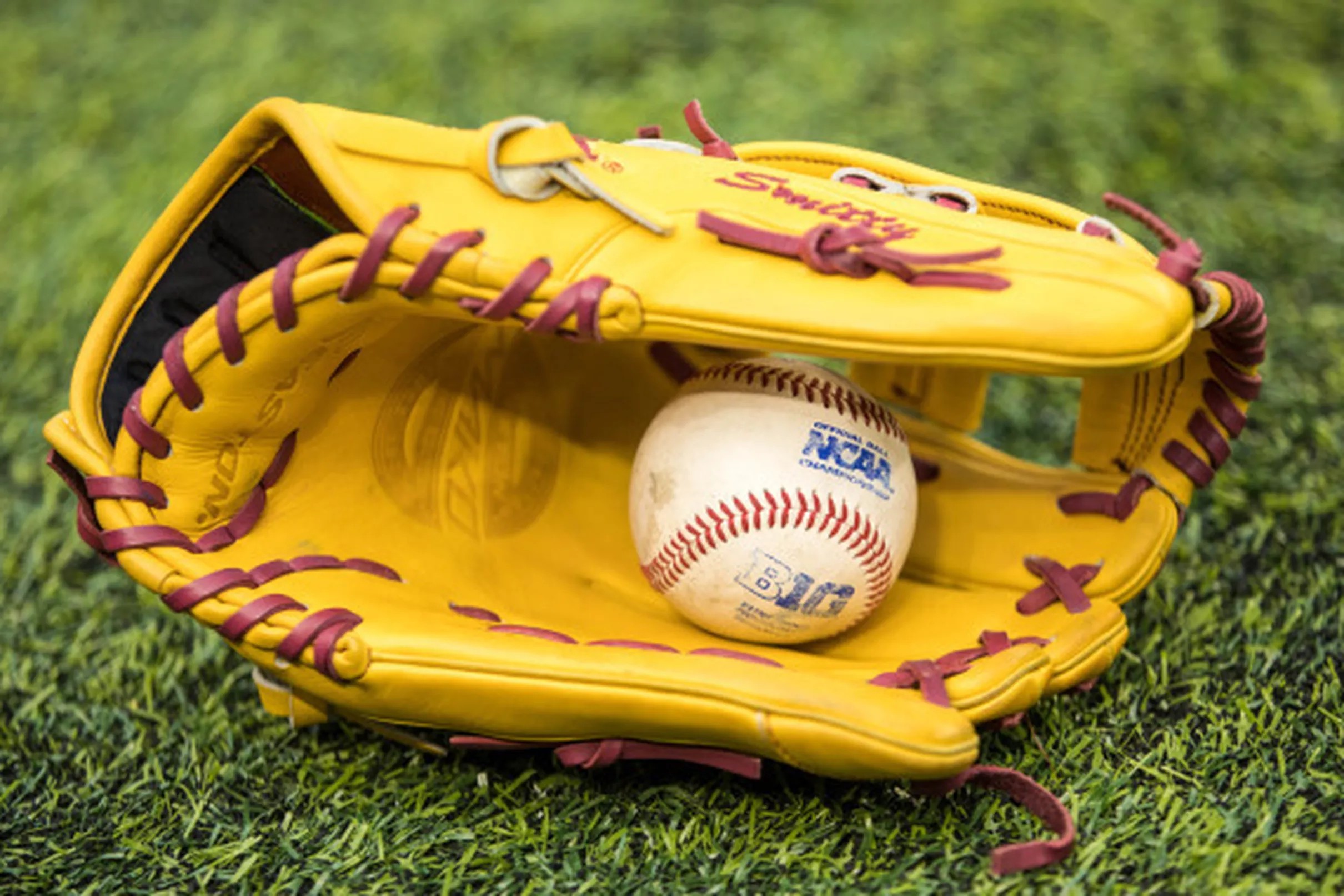 Minnesota Baseball Previewing the Minneapolis Regional
