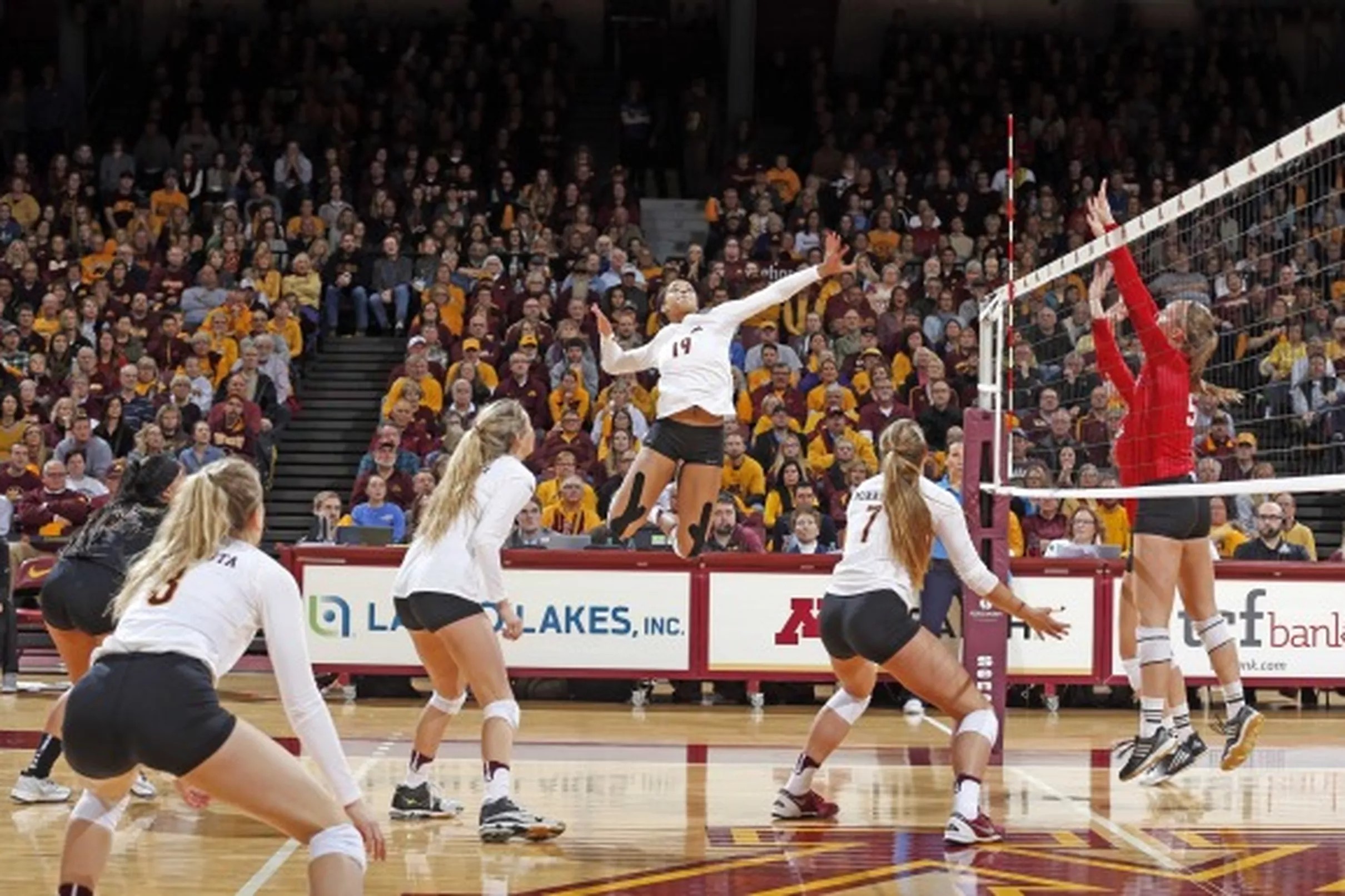 Minnesota Volleyball Season Preview