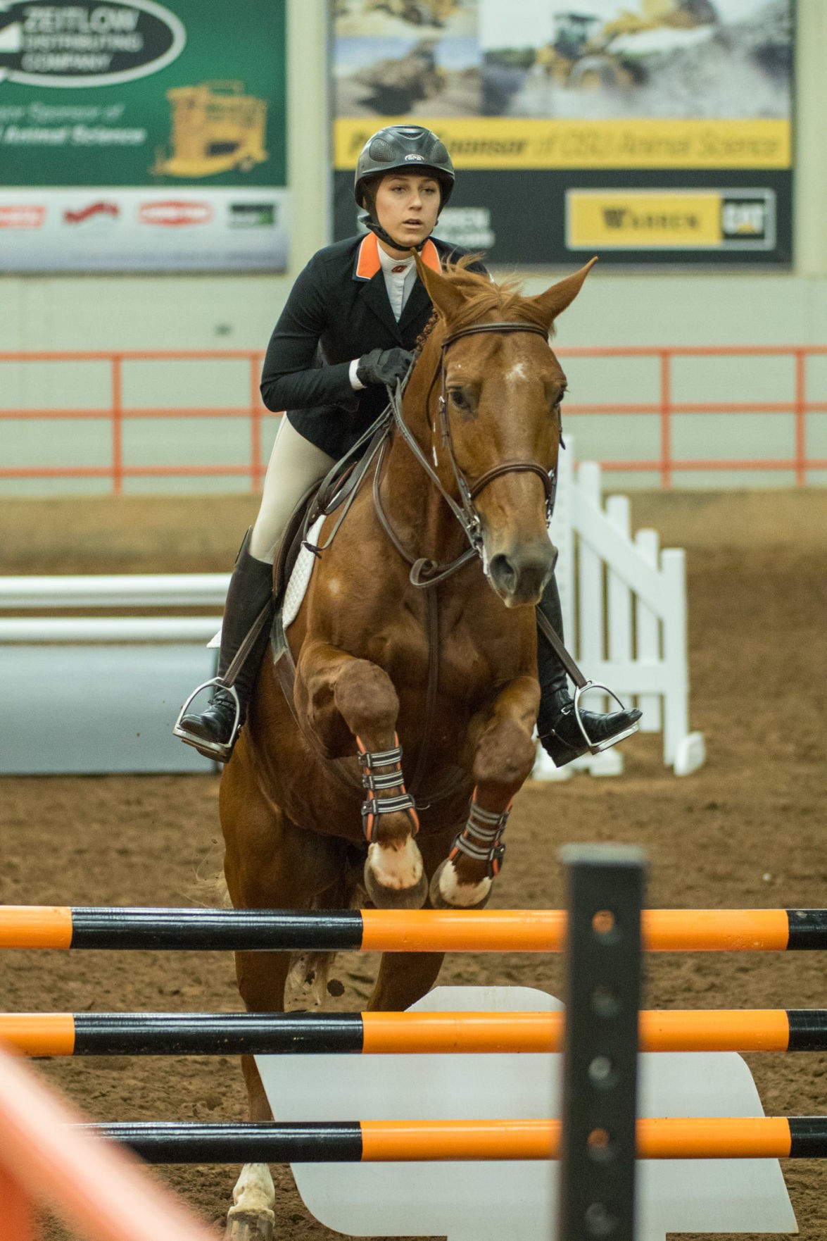 osu-equestrian-team-drops-championship-match-in-equitation-over-fences