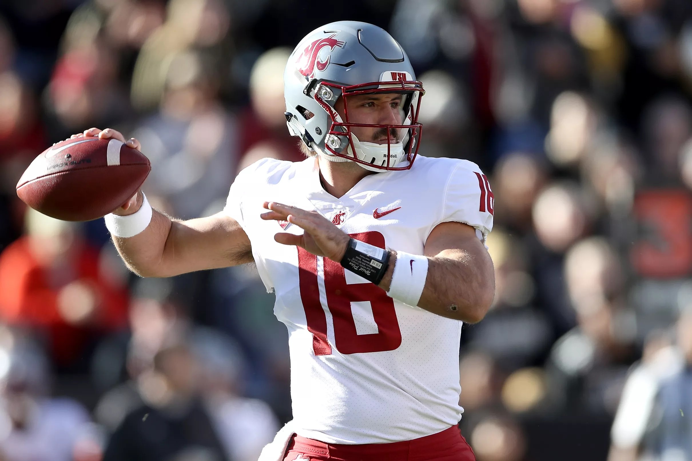 first-look-at-the-washington-state-cougars