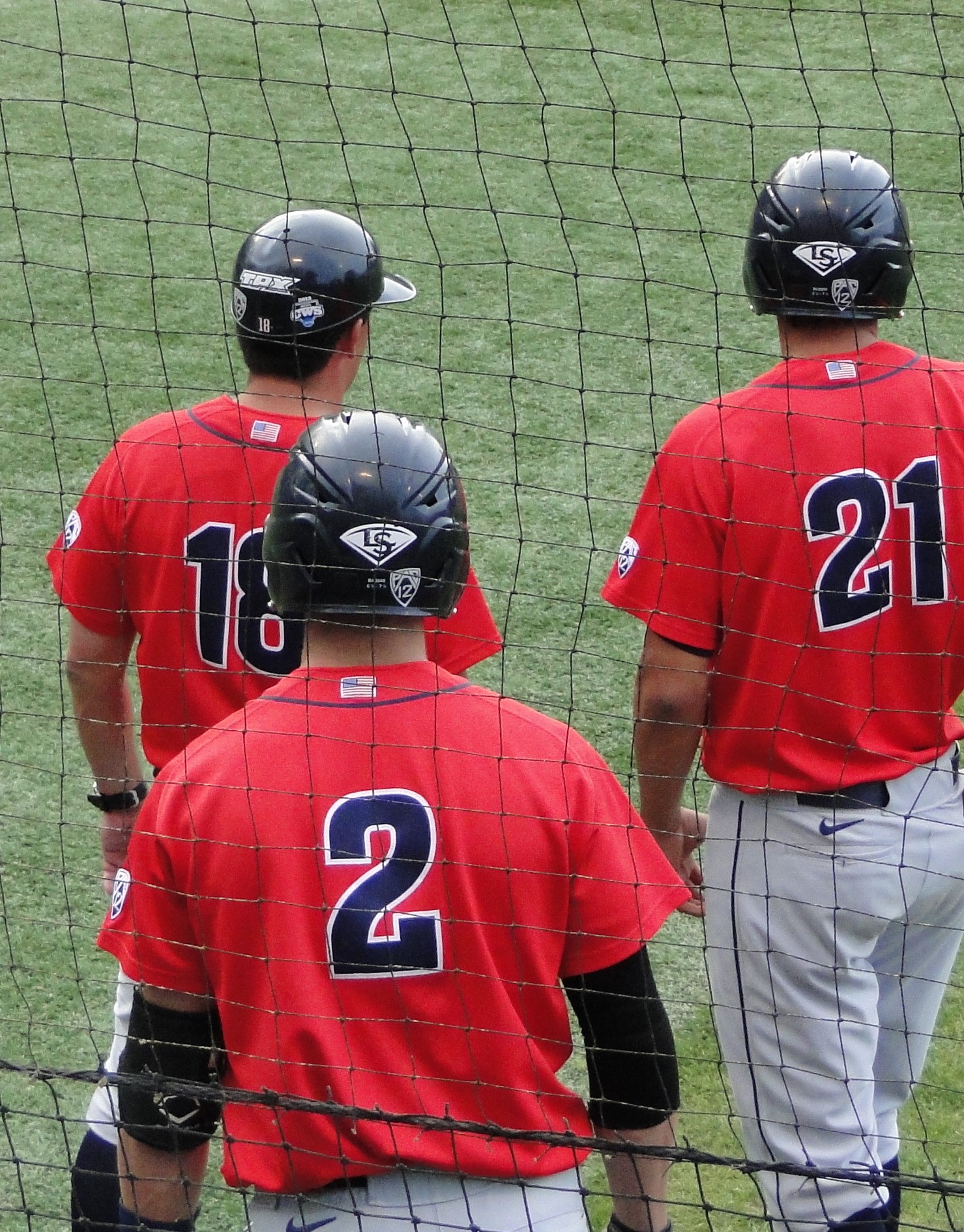 Arizona Wildcats Baseball Schedule: Shocking Reveals! - ovuveu8