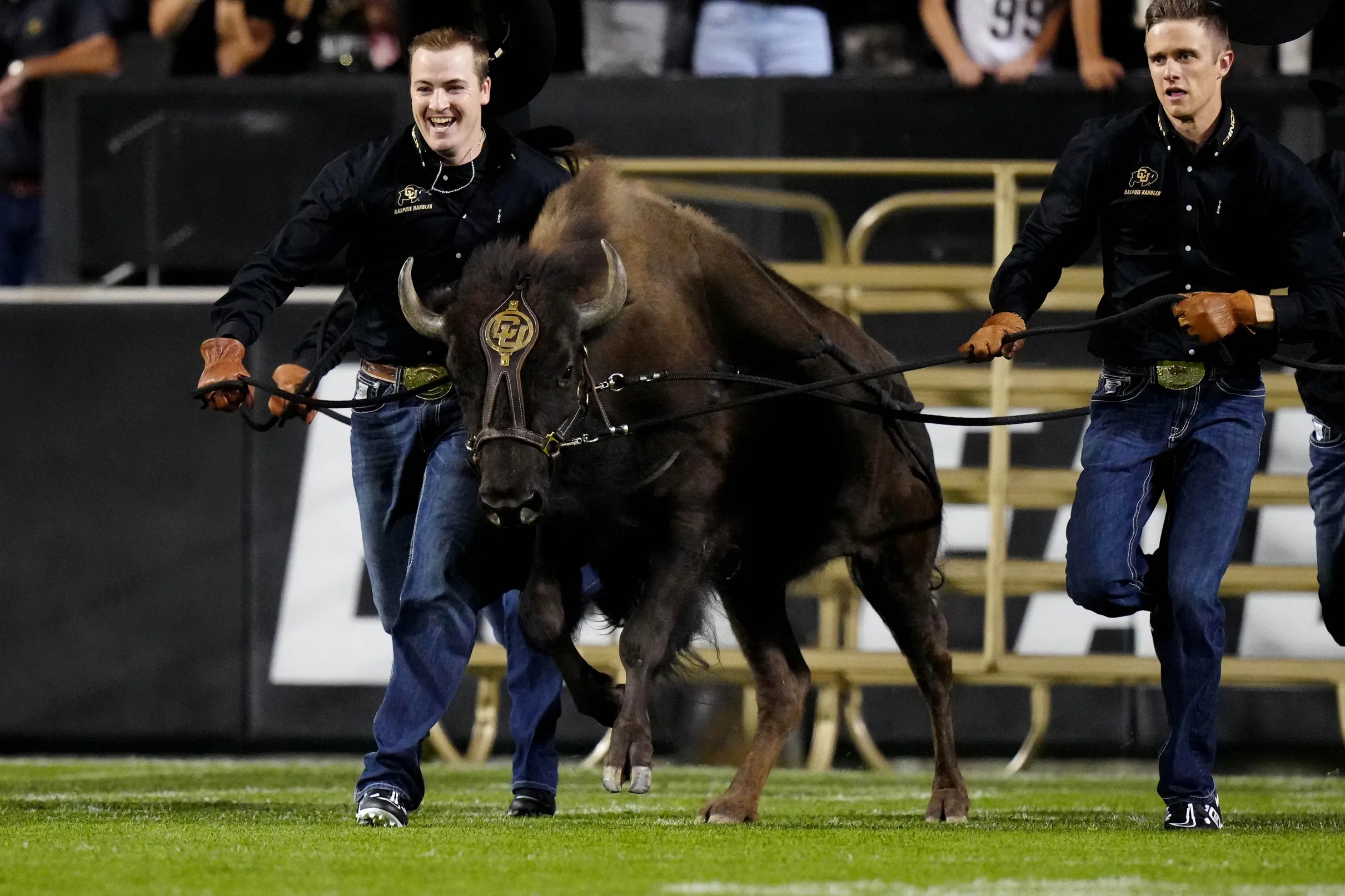 Colorado Buffaloes 202223 Early Signing Day Live Blog