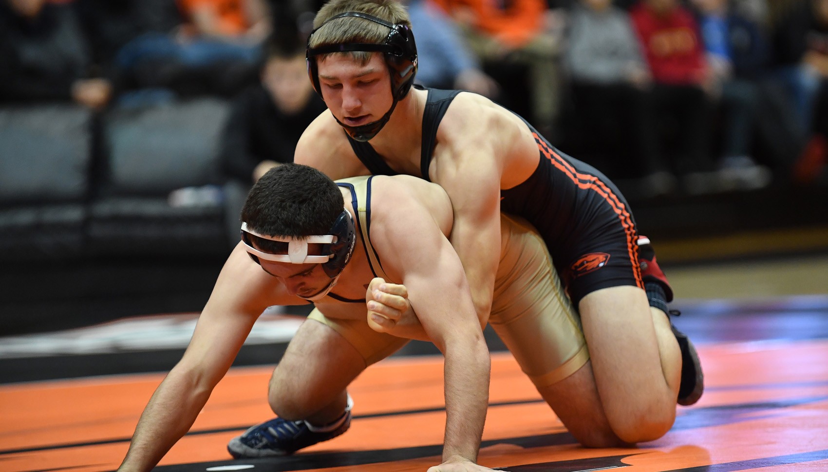 Oregon State Wrestling Ready for Cliff Keen Las Vegas Invitational