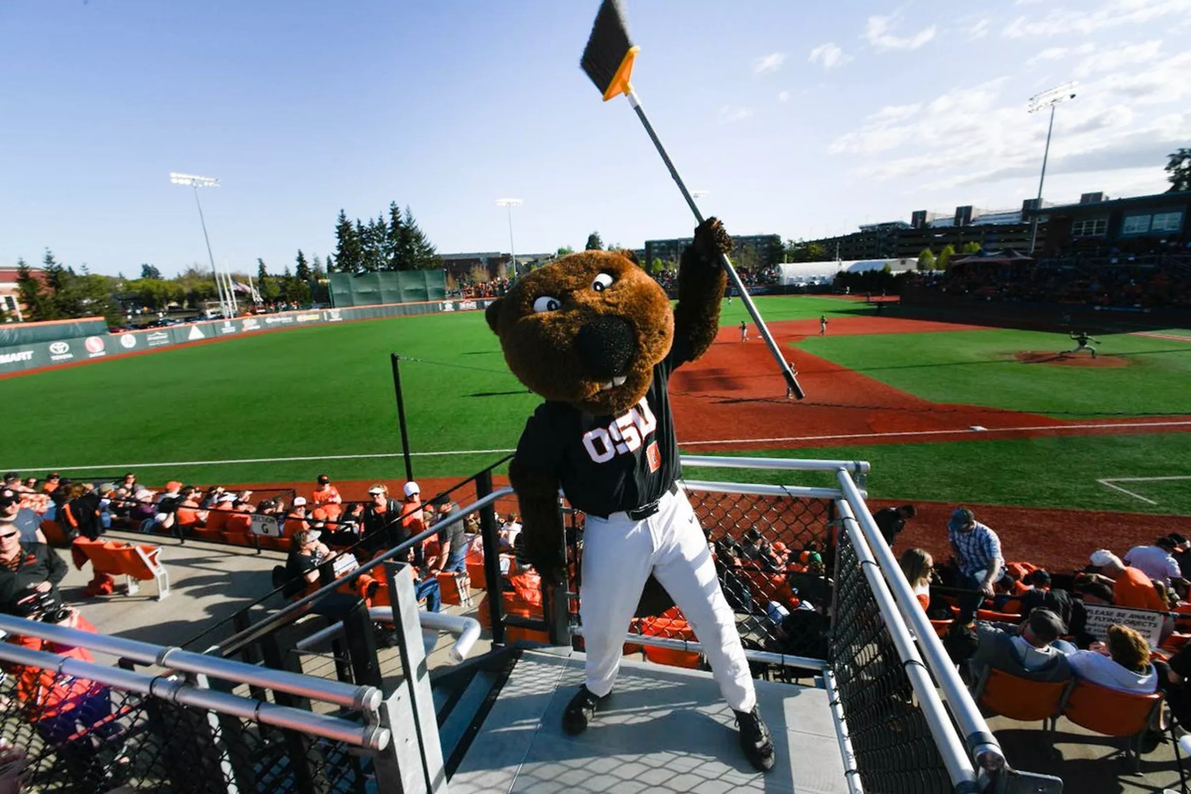 Oregon State Baseball Beavers Sweep Oregon With 125 Saturday Victory