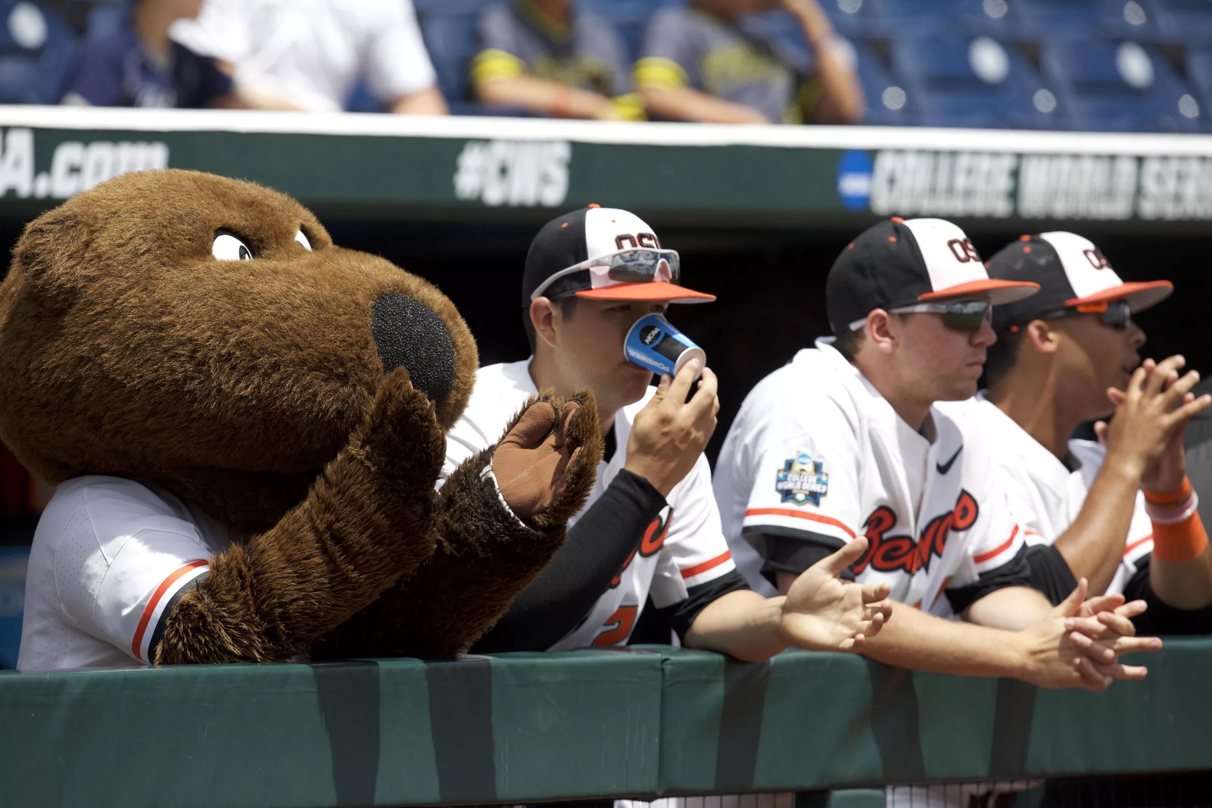 Gamethread: Oregon State Baseball vs Cal State Fullerton, Game 2