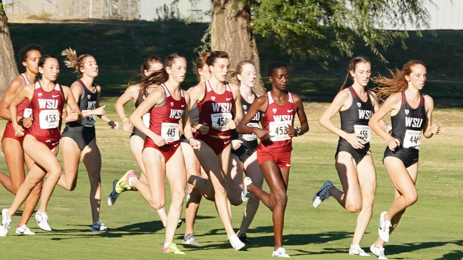 Cross Country Racing at Notre Dame Invite Friday