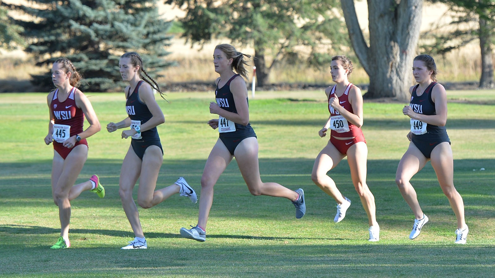 Cross Country at Madison and Lewiston Meets this Weekend