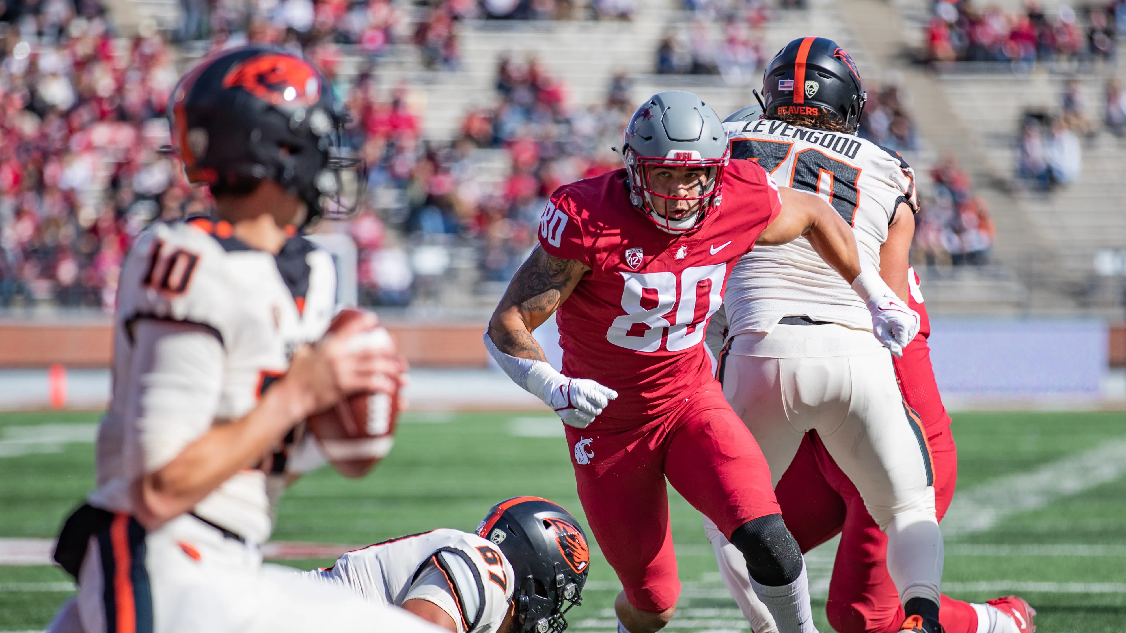 Photo Gallery Best Images Of The 2021 WSU Football Regular Season photo-gallery-best-images-of-the-2021-wsu-football-regular-season