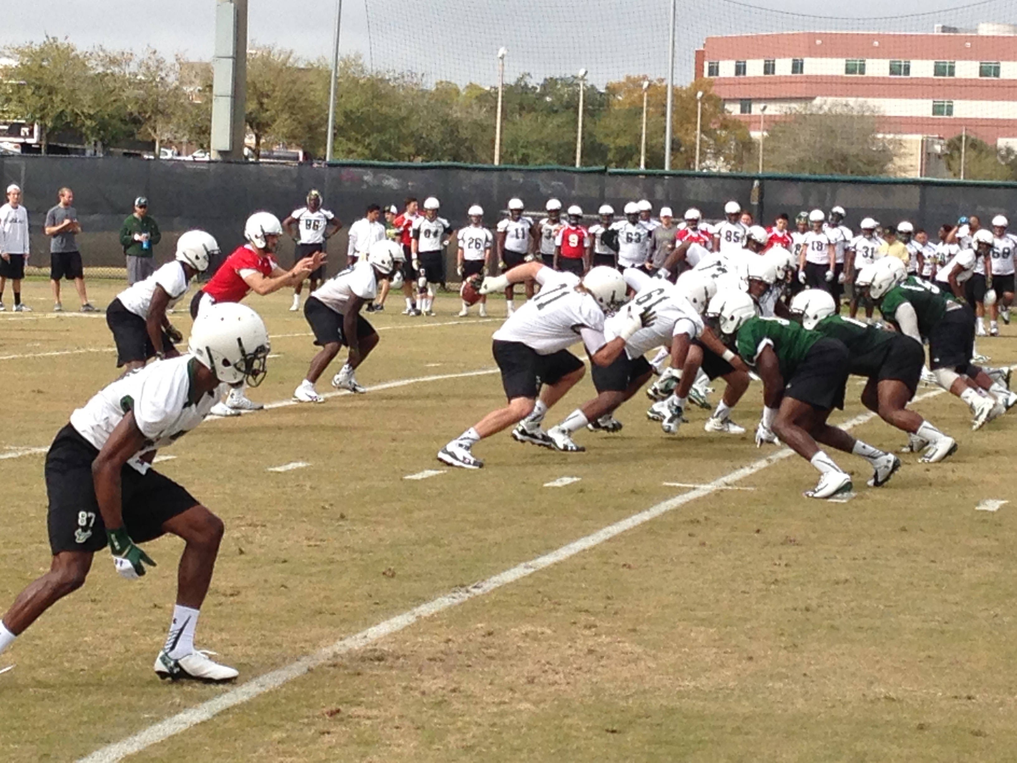 USF WalkOn Tryouts Set For Feb. 9