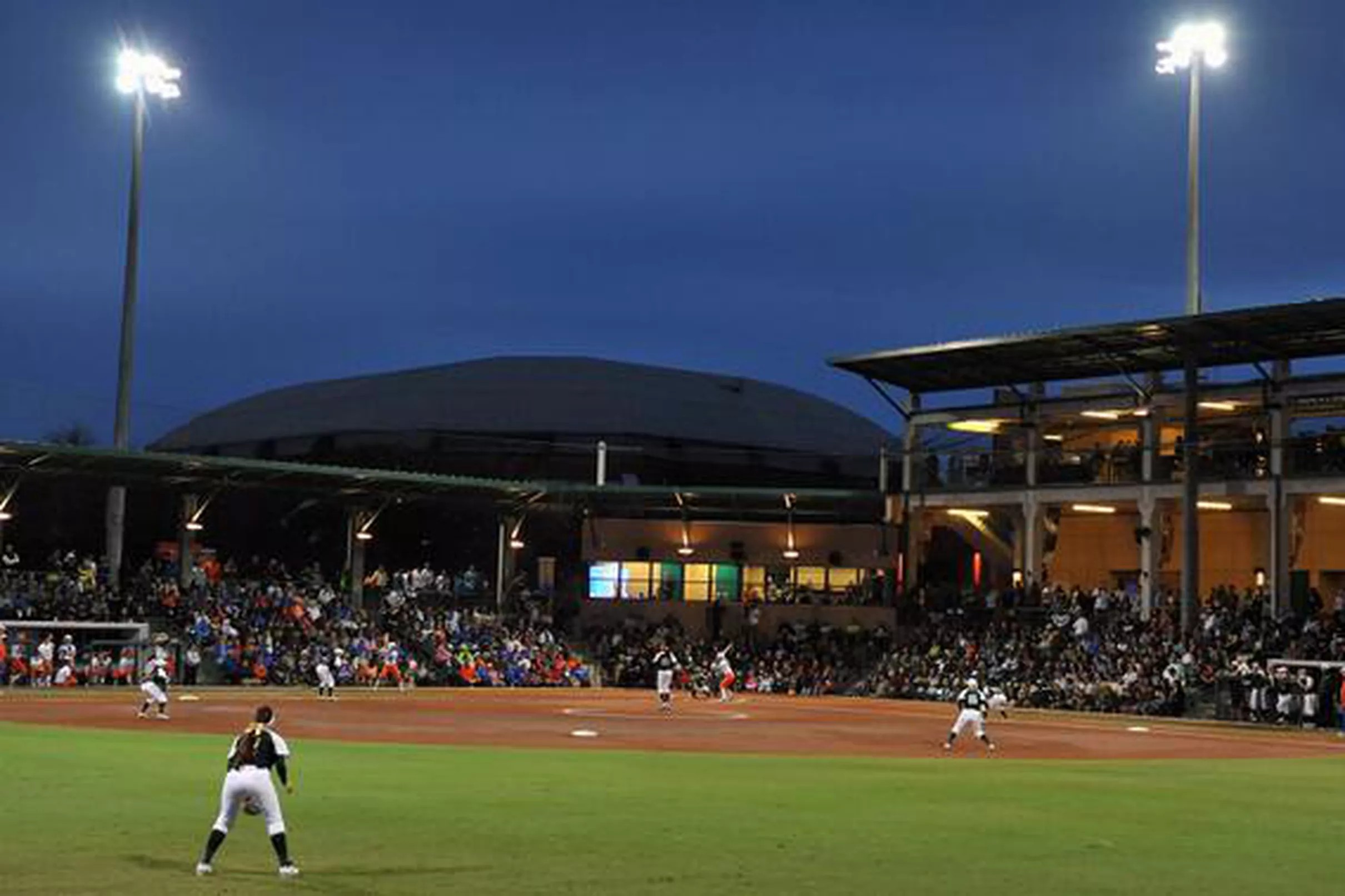 USF Softball Releases 2019 Schedule