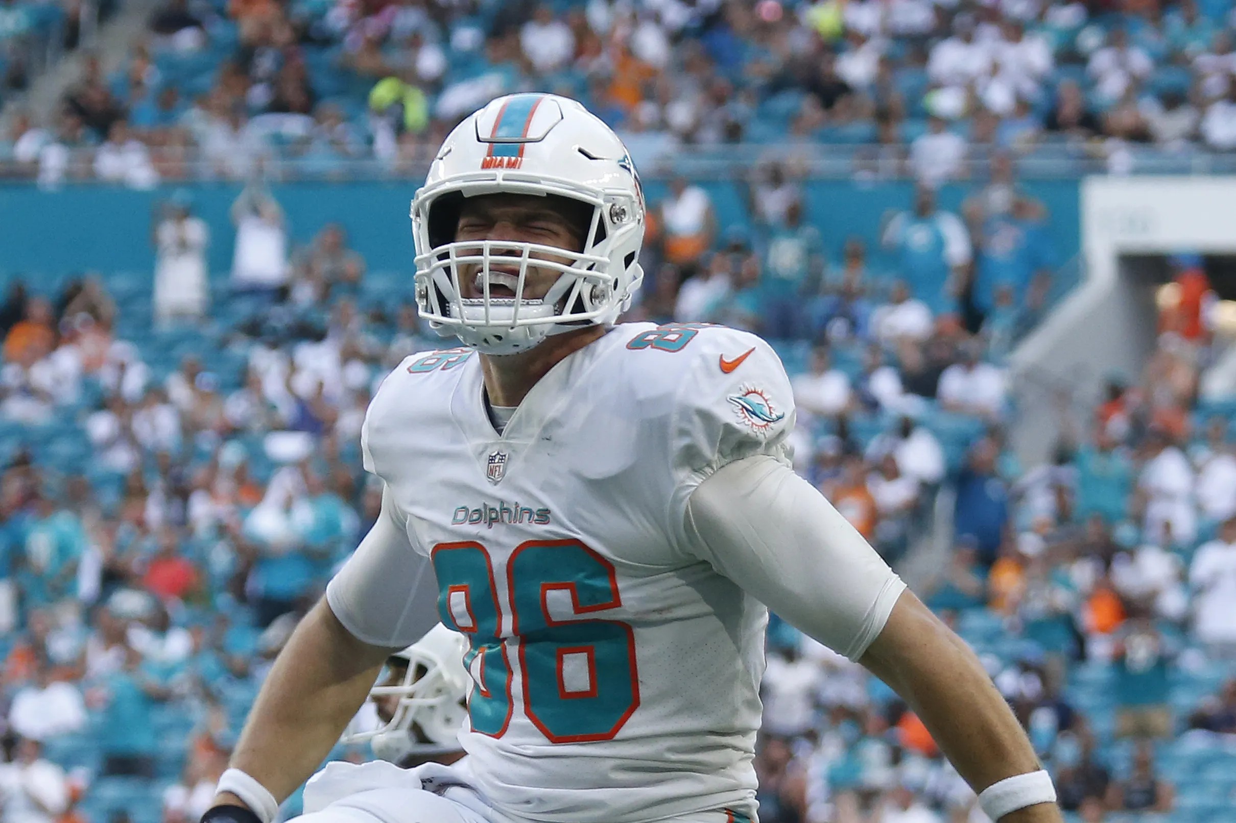 dolphins gesicki