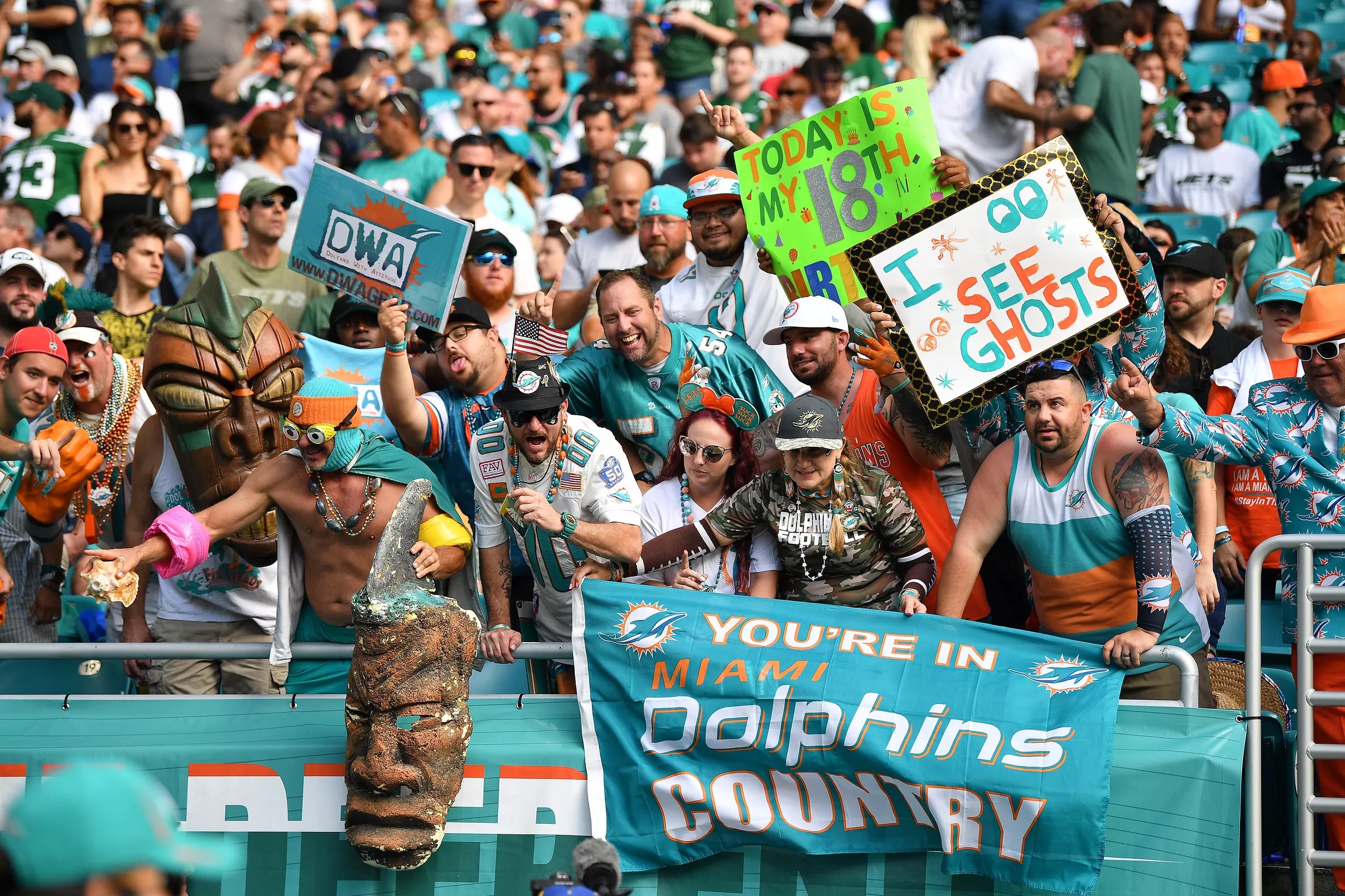 dolphins-fan-confidence-jumps-into-top-ten-following-win-over-jets