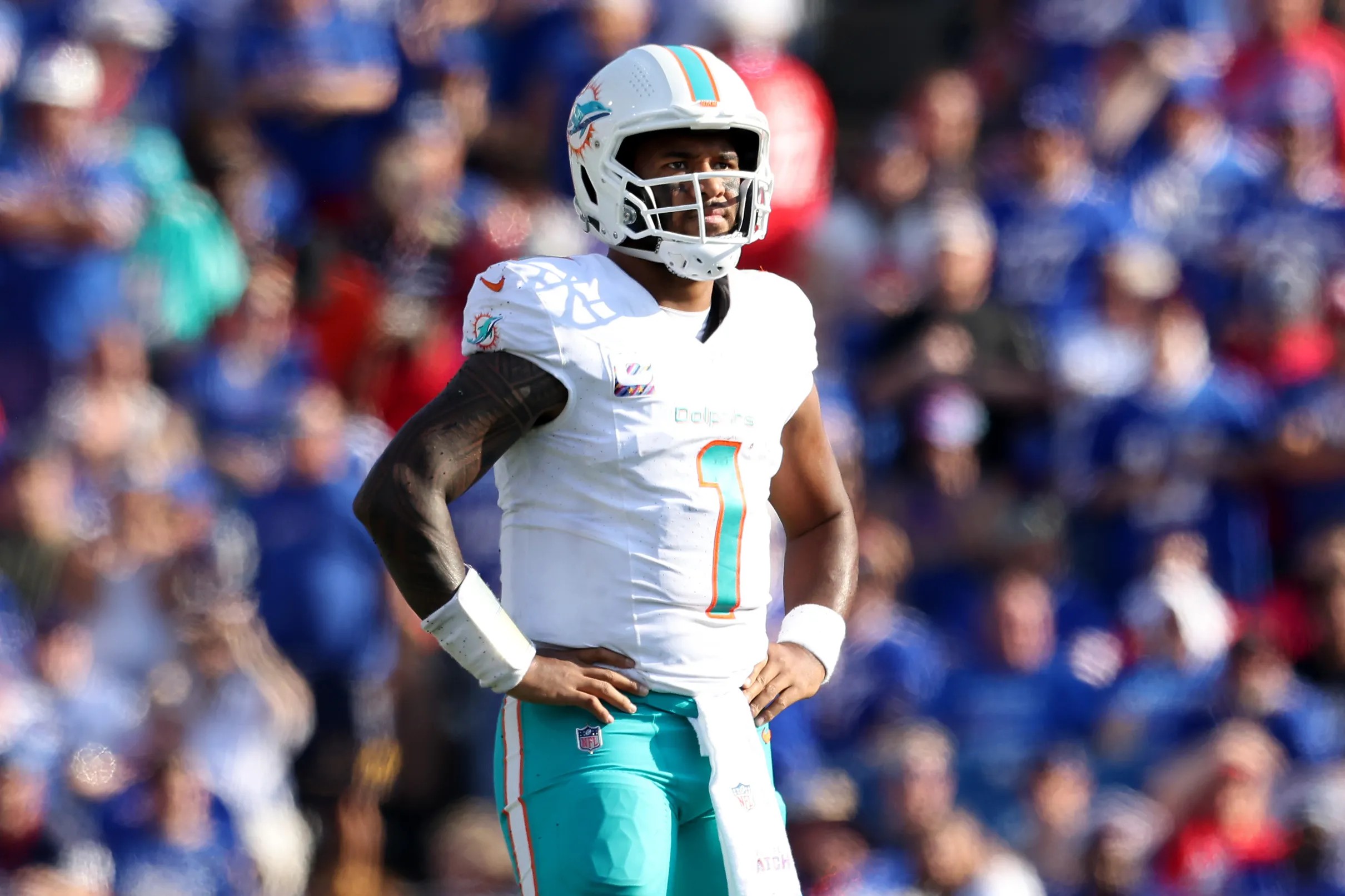 3 Reasons Why: New York Jets vs. Miami Dolphins - The Phinsider