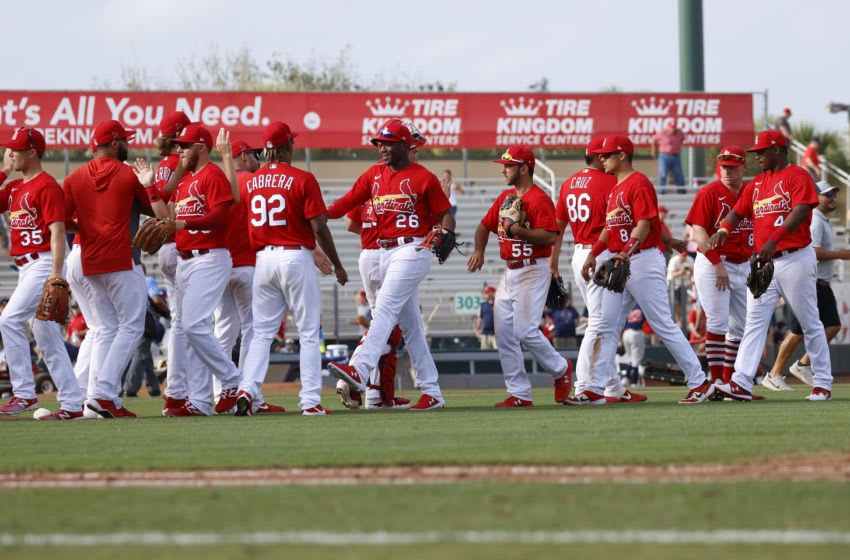 St. Louis Cardinals: What is the best way to view the 2020 season?