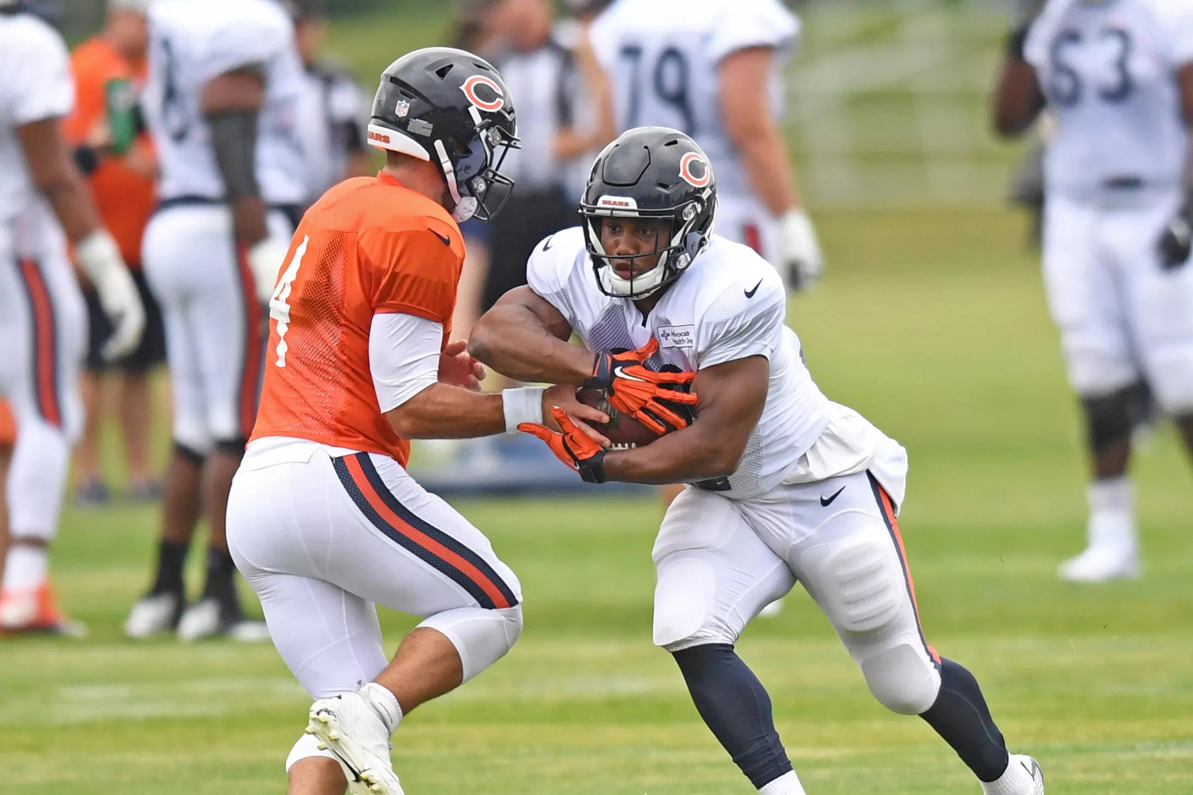 Exclusive Access: Bears Camp – Johnsons Unmatched Attention To Detail! - dl4d8pp