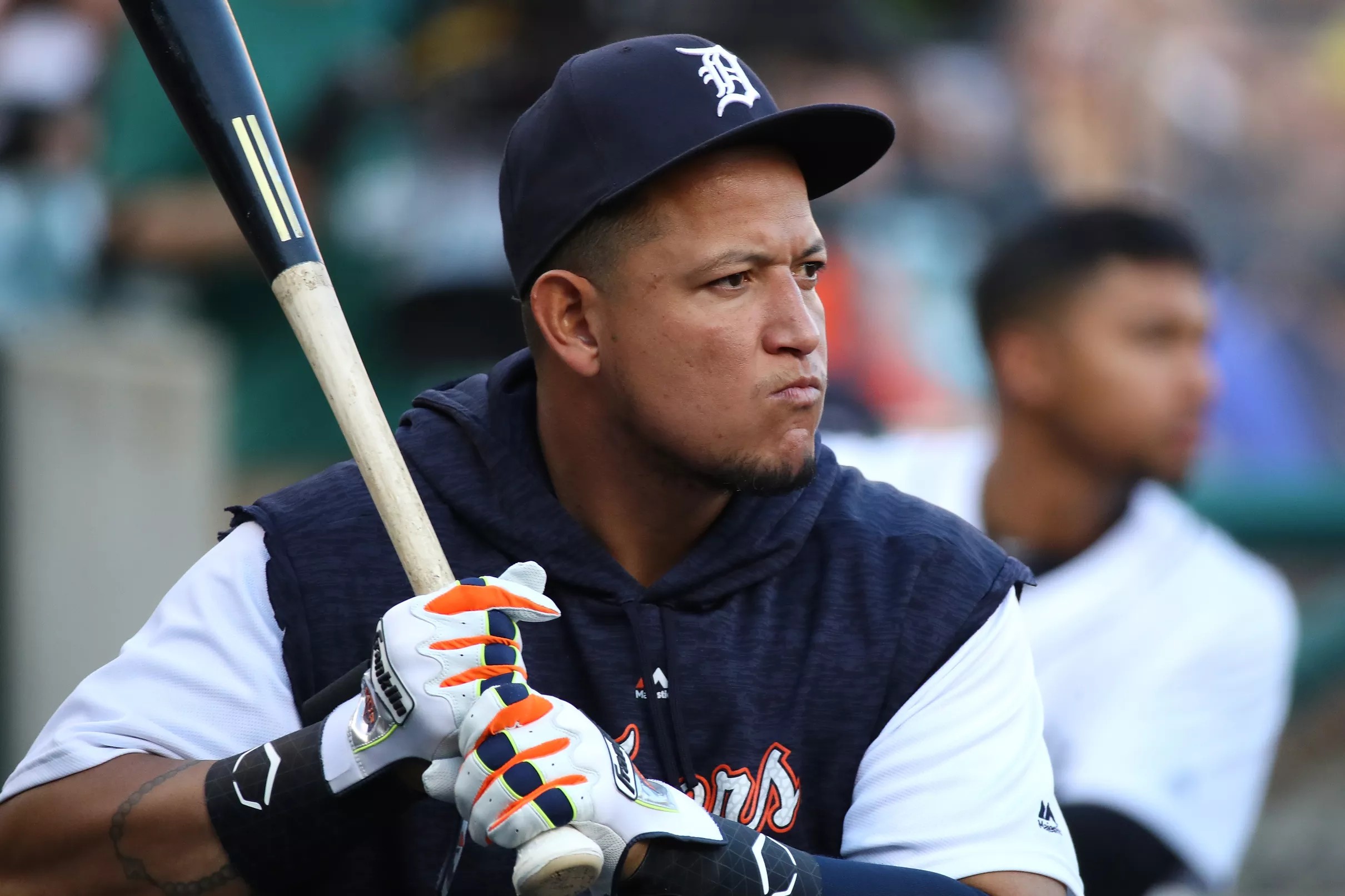 Let’s look at the Tigers’ 2019 Steamer projections