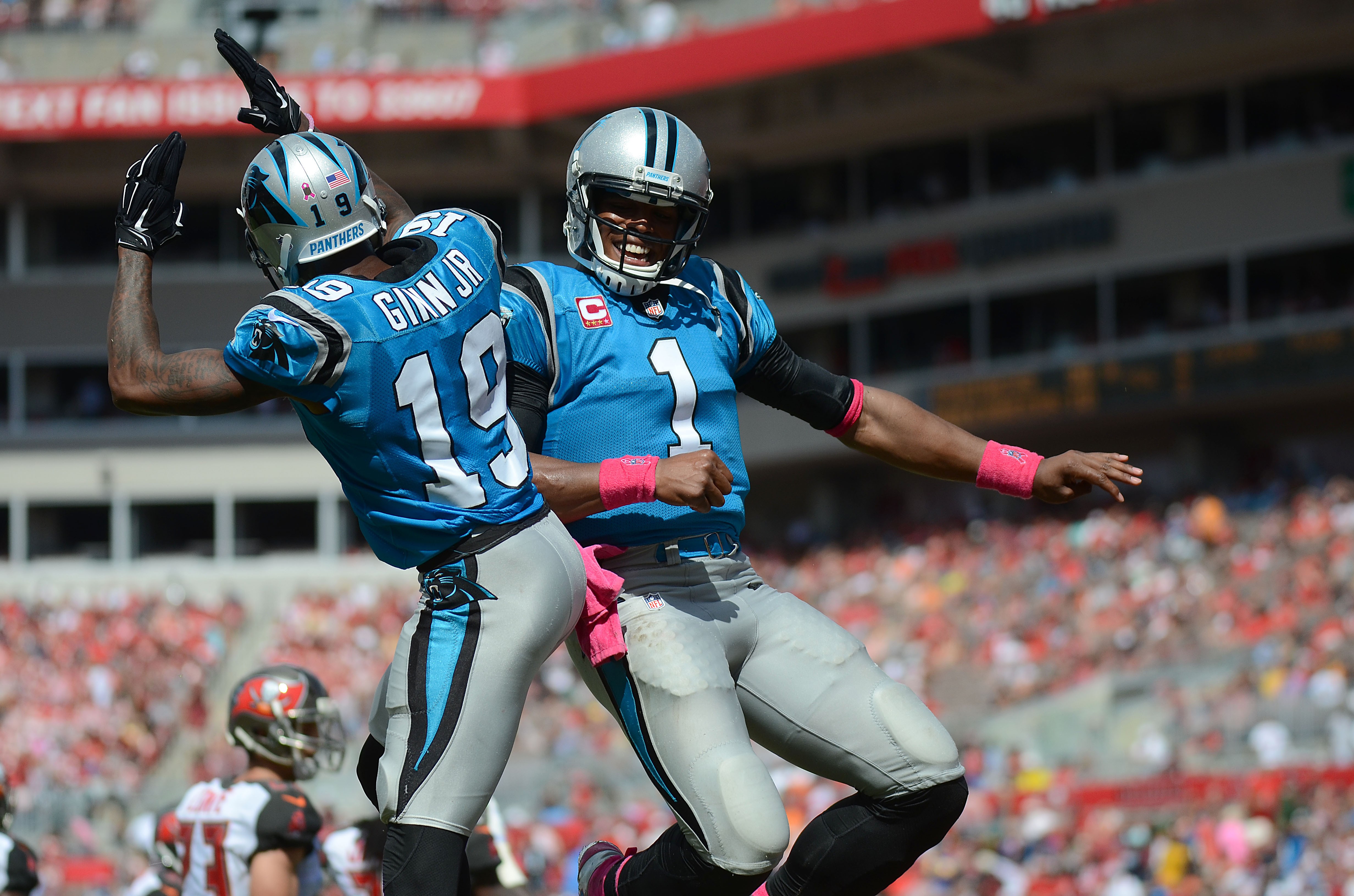 NFL Playoff Preview: Carolina Panthers