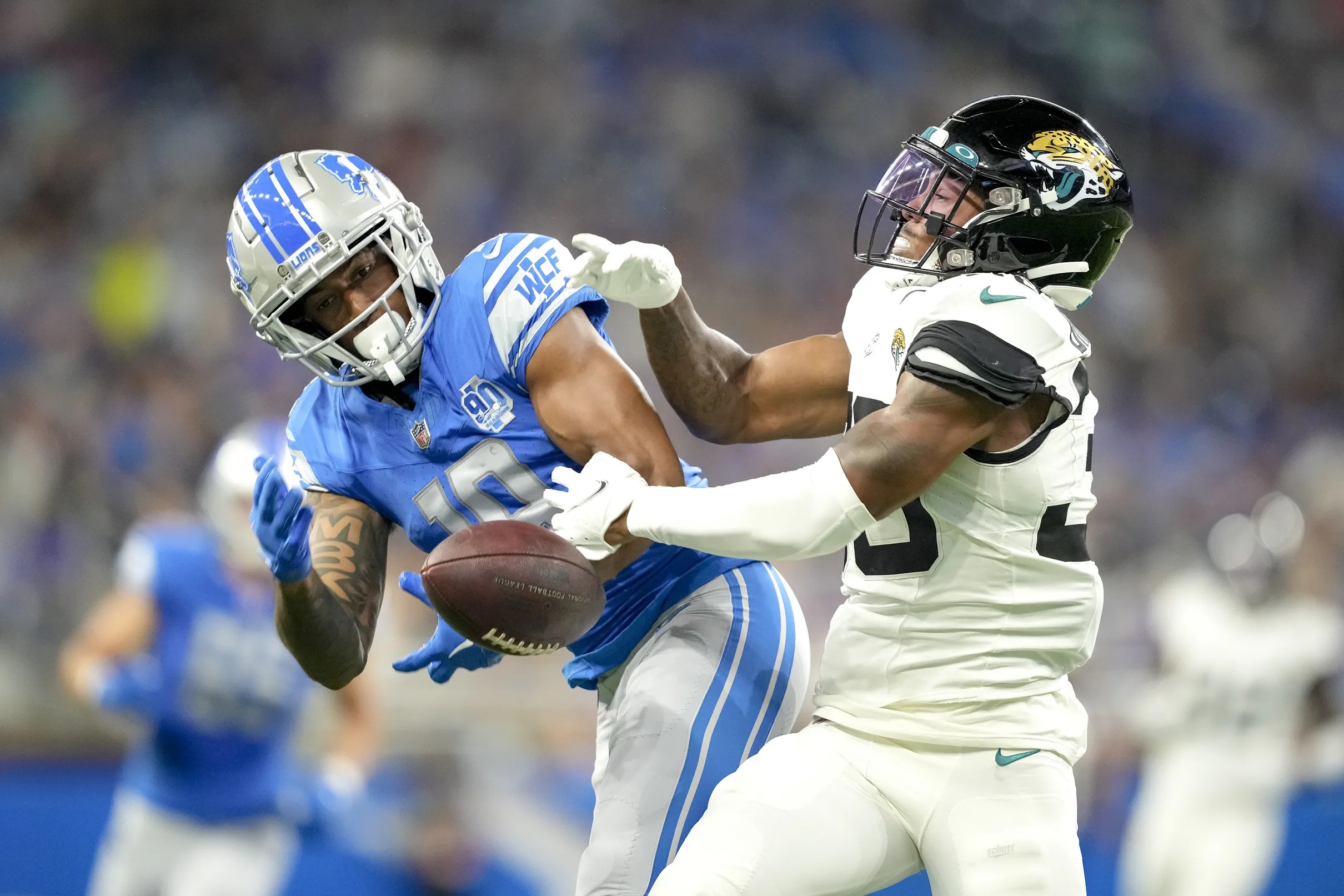 The view from a Jaguars pool seat - Big Cat Country