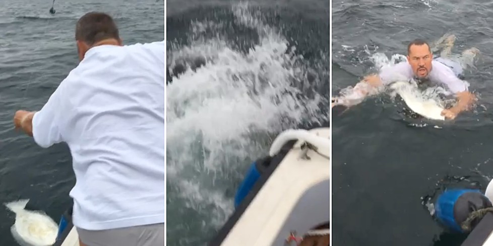 Watch: Fisherman Jumps Off Boat to Catch Fish With His Own Two Hands