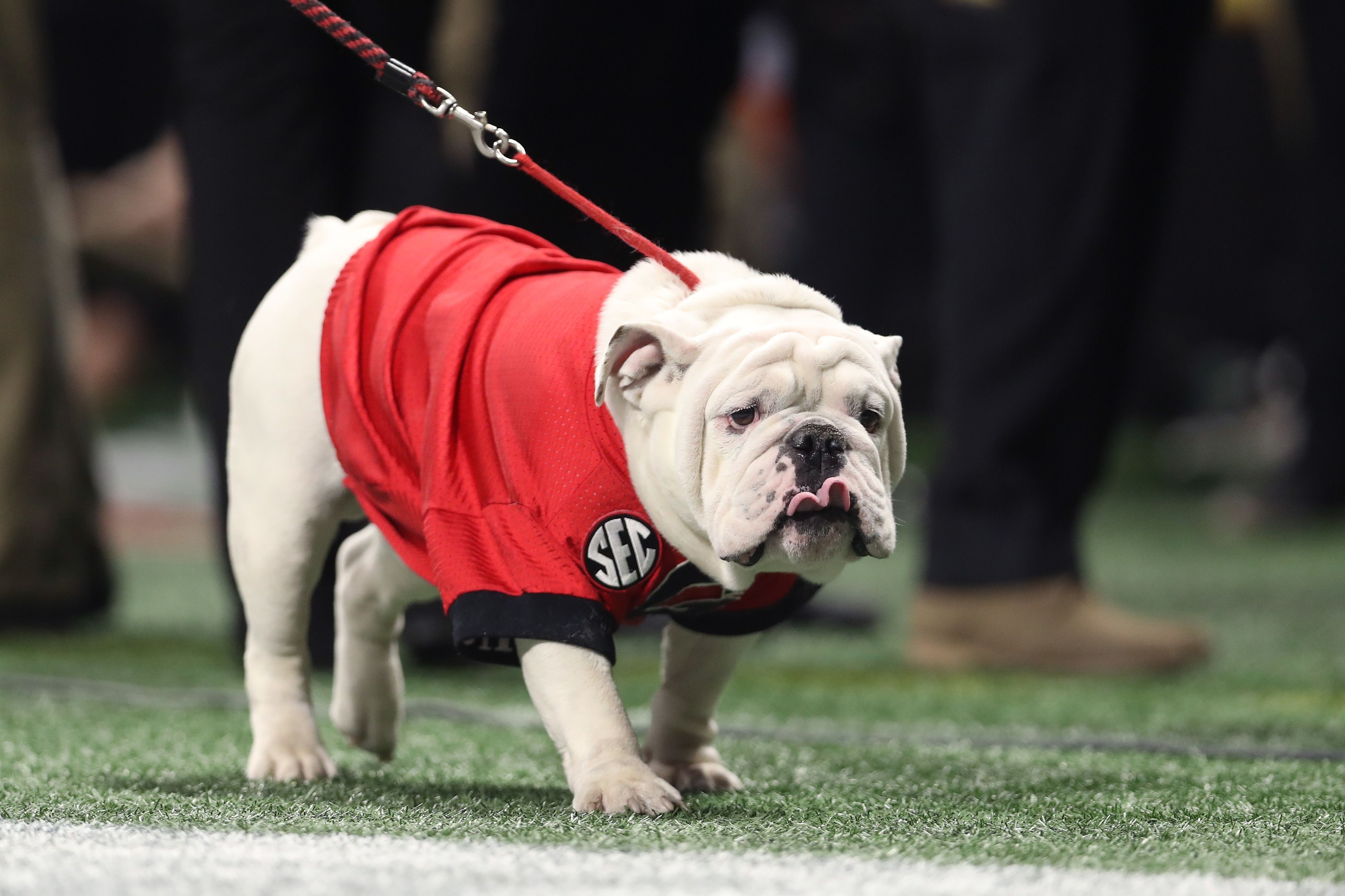 Former UGA Player Andy Johnson Passes Away