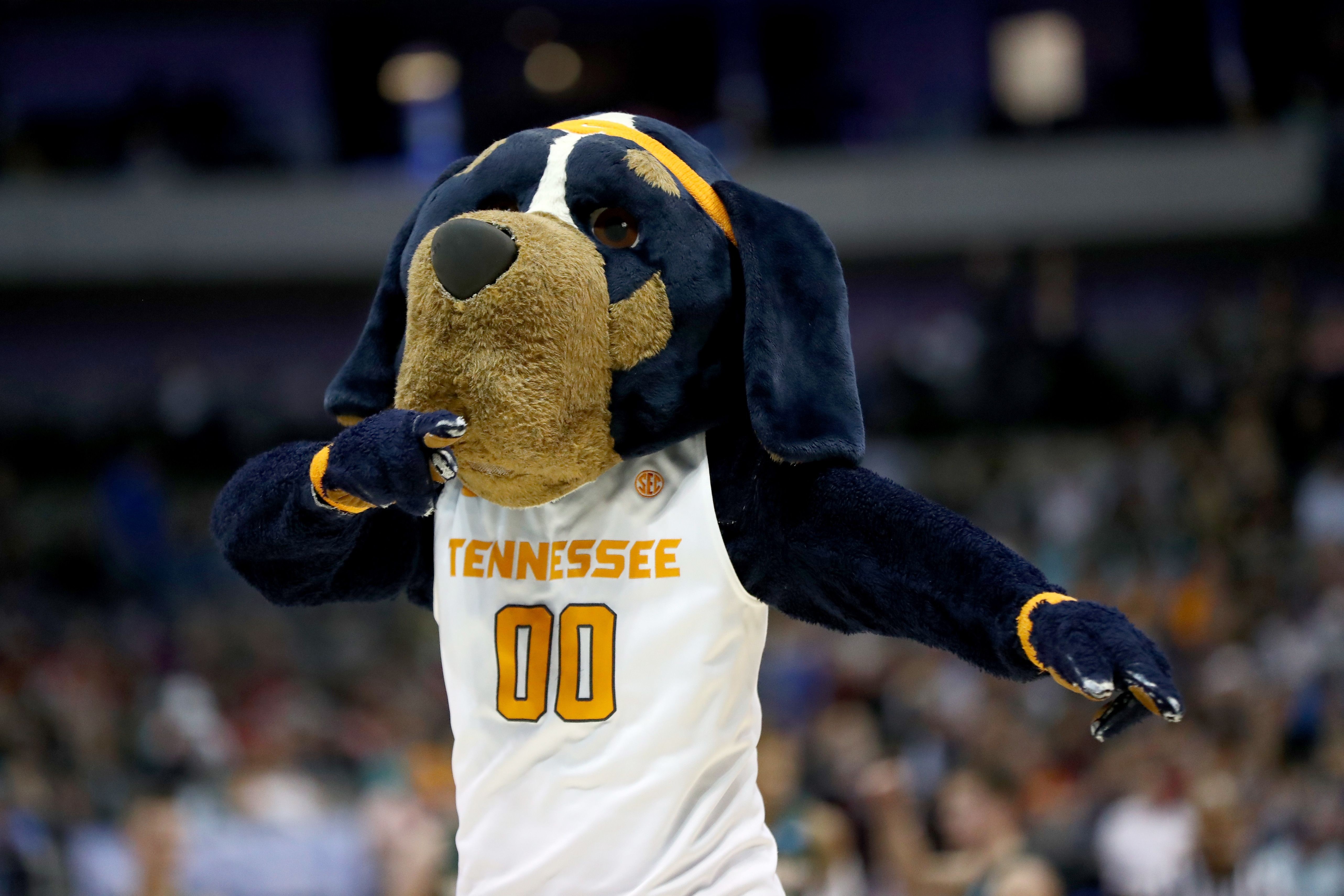 Tennessee basketball: How Vols commits finished in the final Top247?